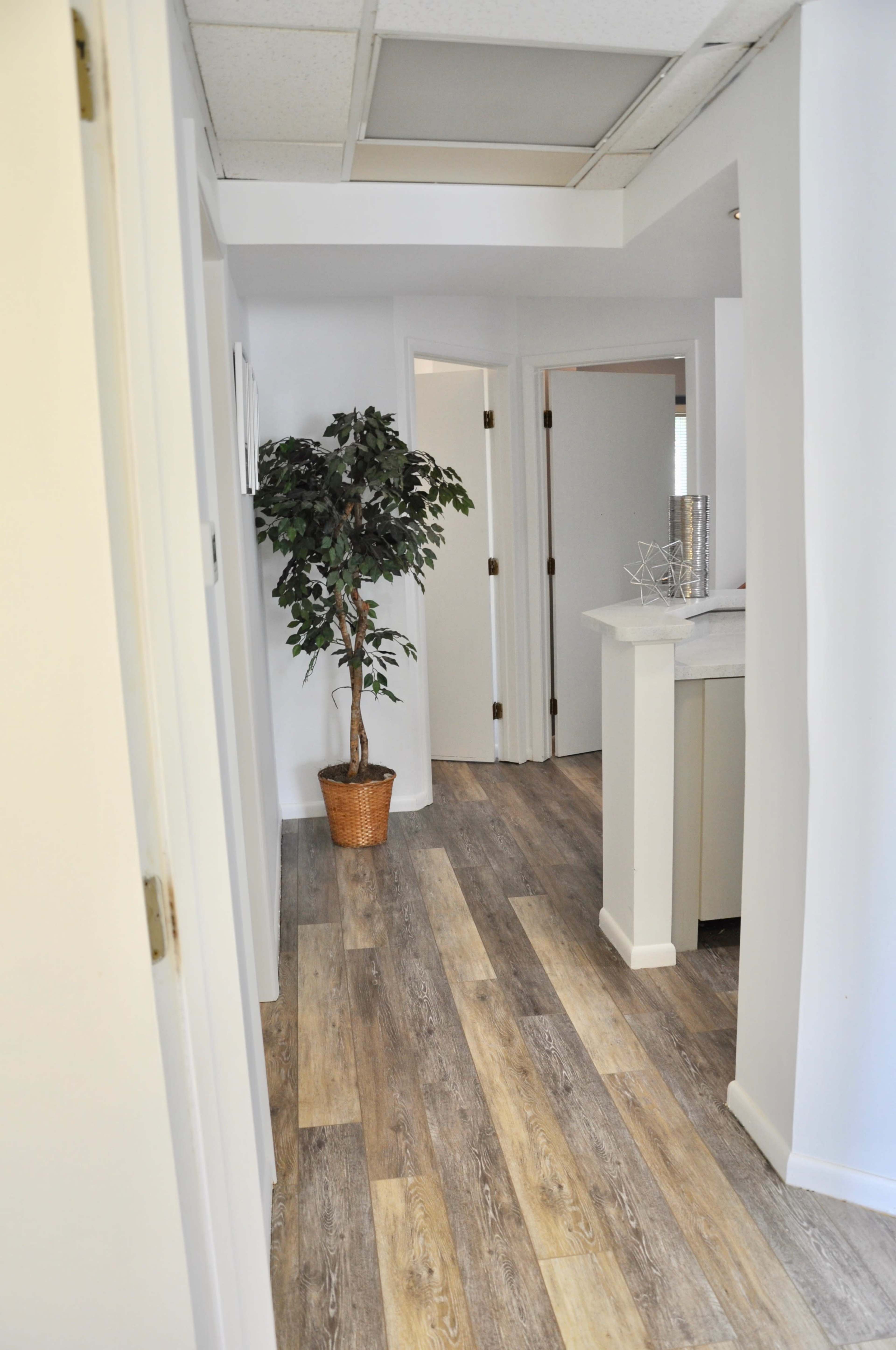 A hallway with light-colored wooden flooring and a potted plant along the side, leading to several closed doors.
