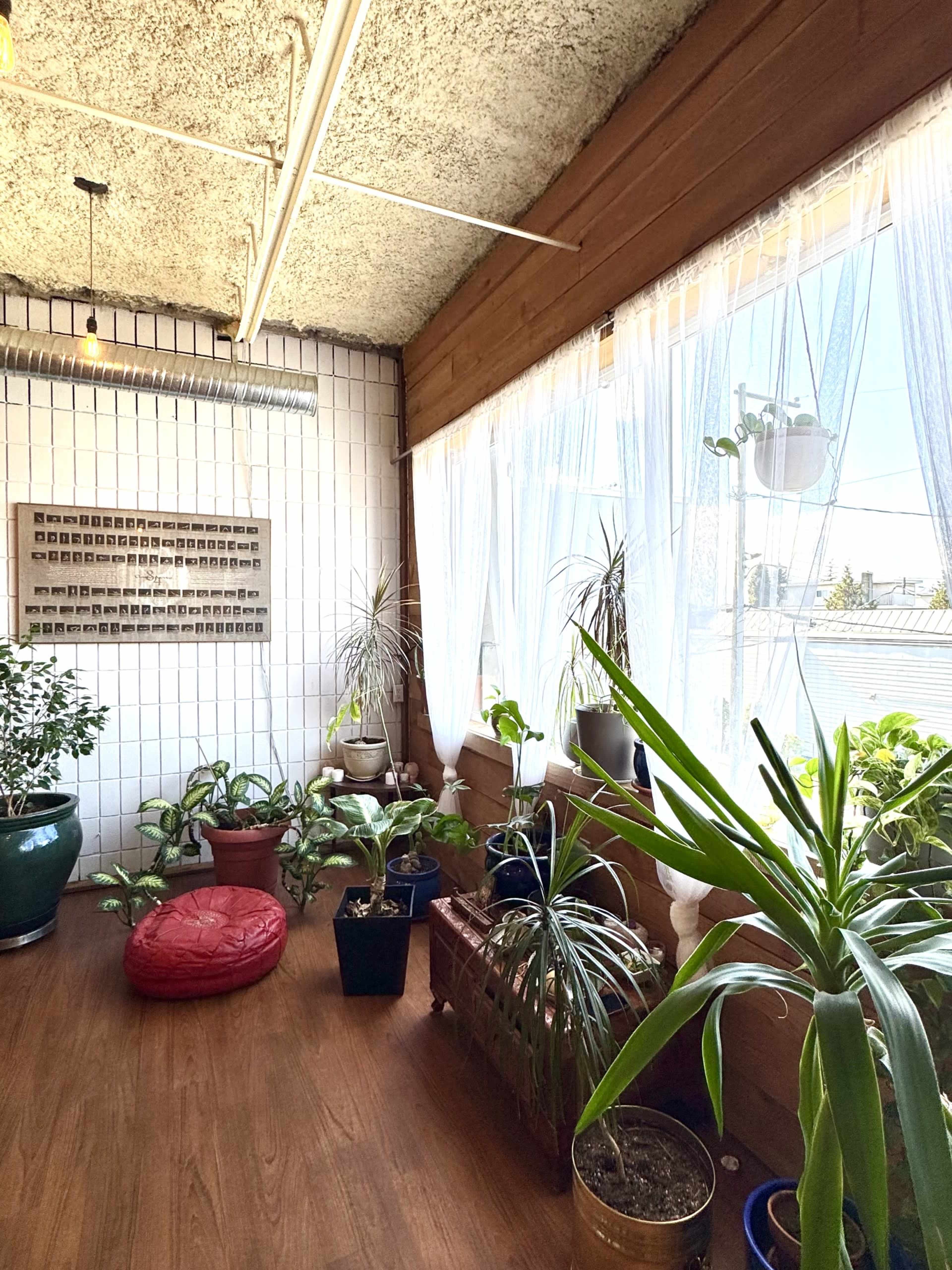 Commercial Drive's 'B90' Yoga Studio Image in Grandview-Woodland, Vancouver, BC