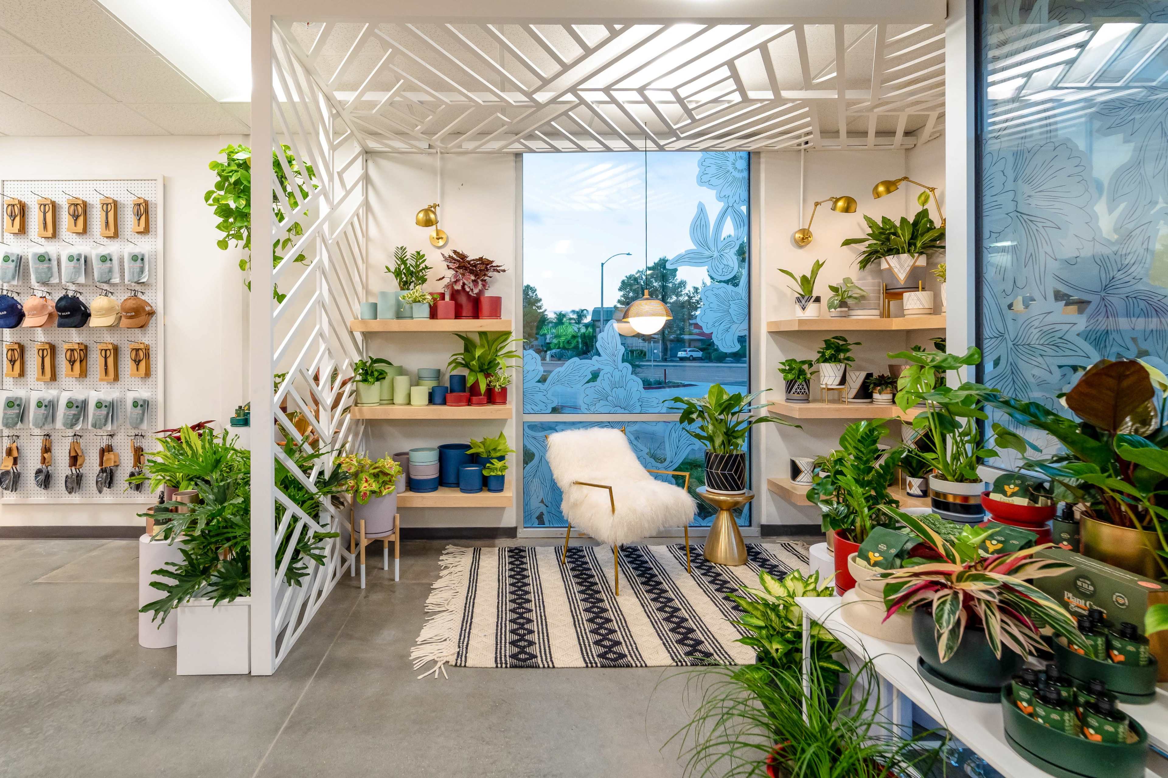 The image shows a modern indoor plant display area with shelves of potted plants, a comfortable chair, and large windows allowing natural light.