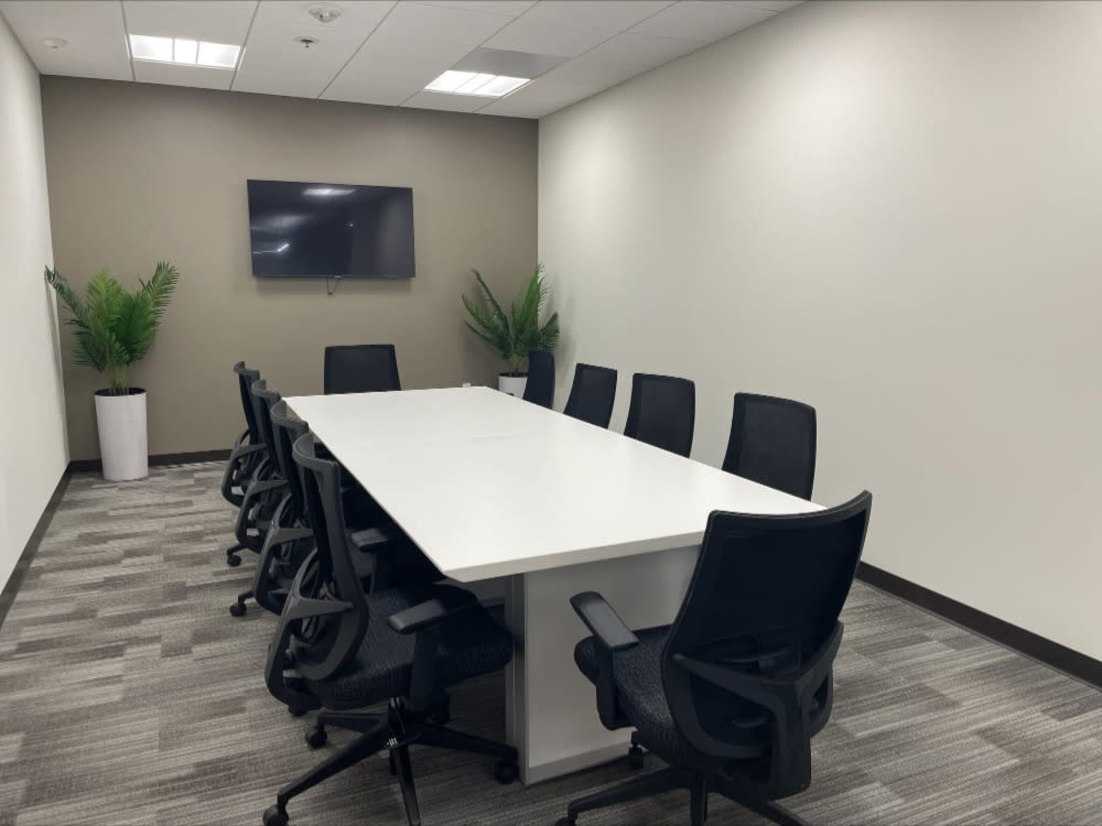 Conference Room (PodFlex Space)