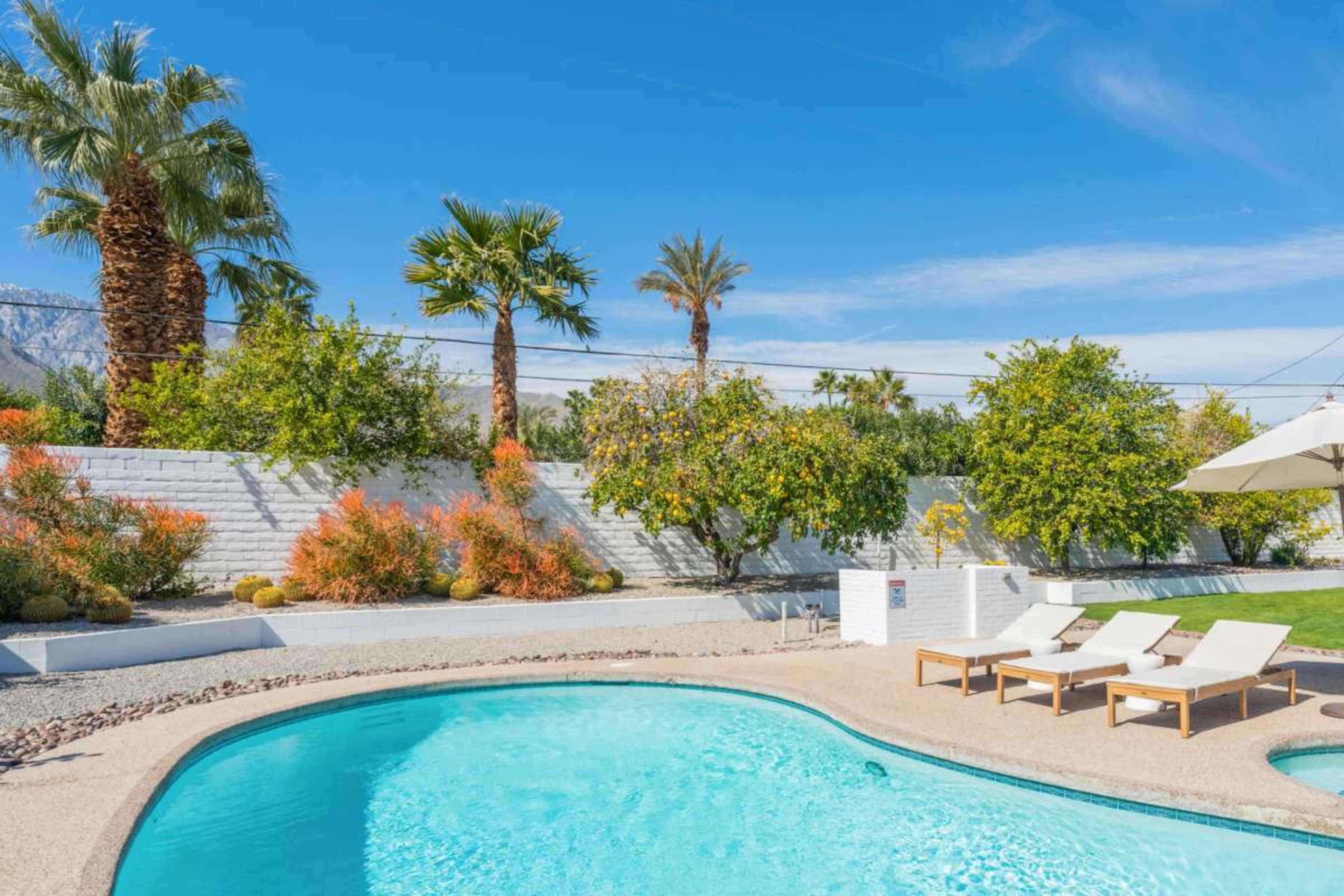 Mid Century Modern Home in Palm Springs Image in Palm Springs, Palm Springs, CA