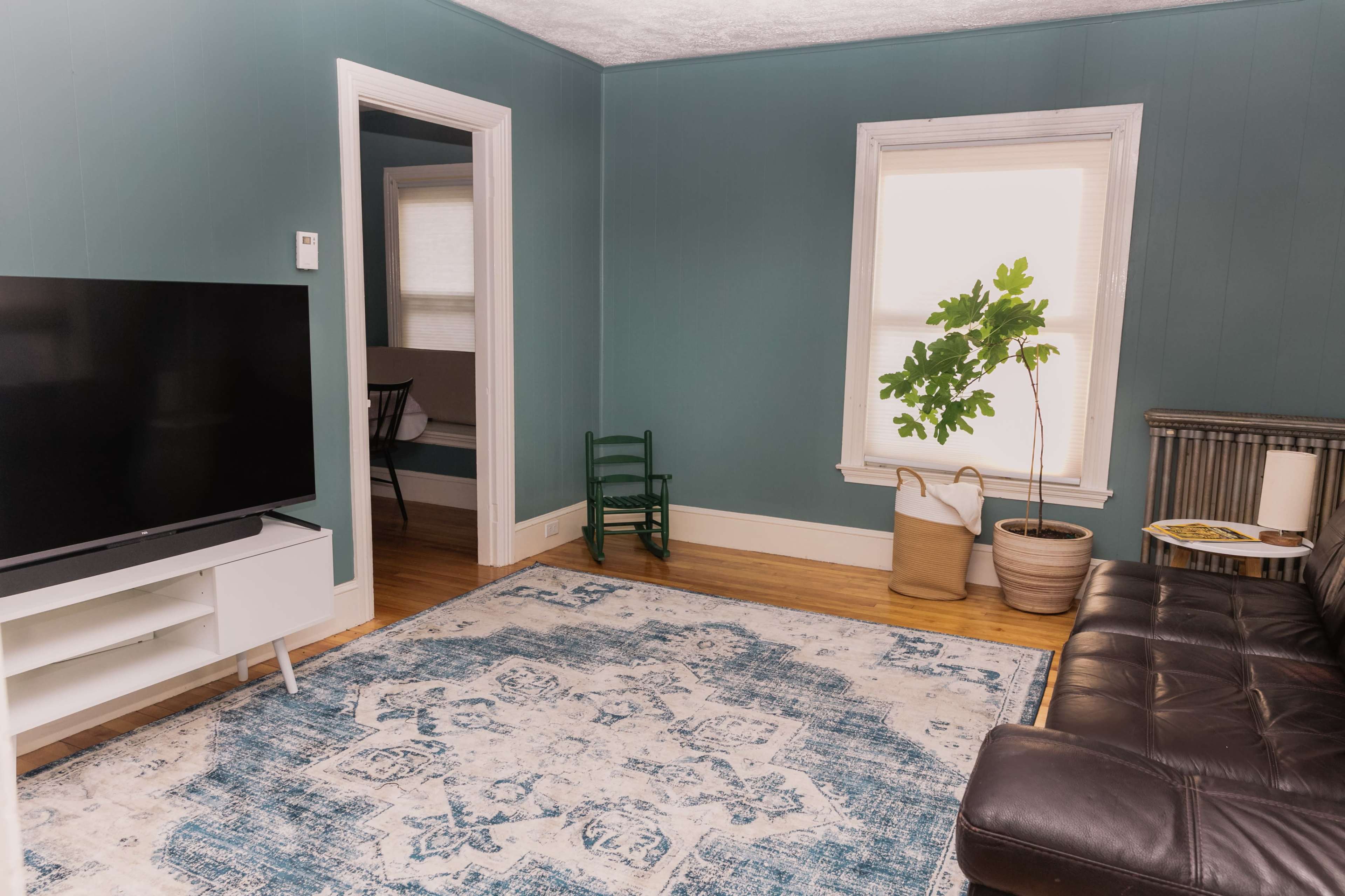 The room features a dark leather sofa, a large area rug, a television on a white stand, and a potted plant near a window.
