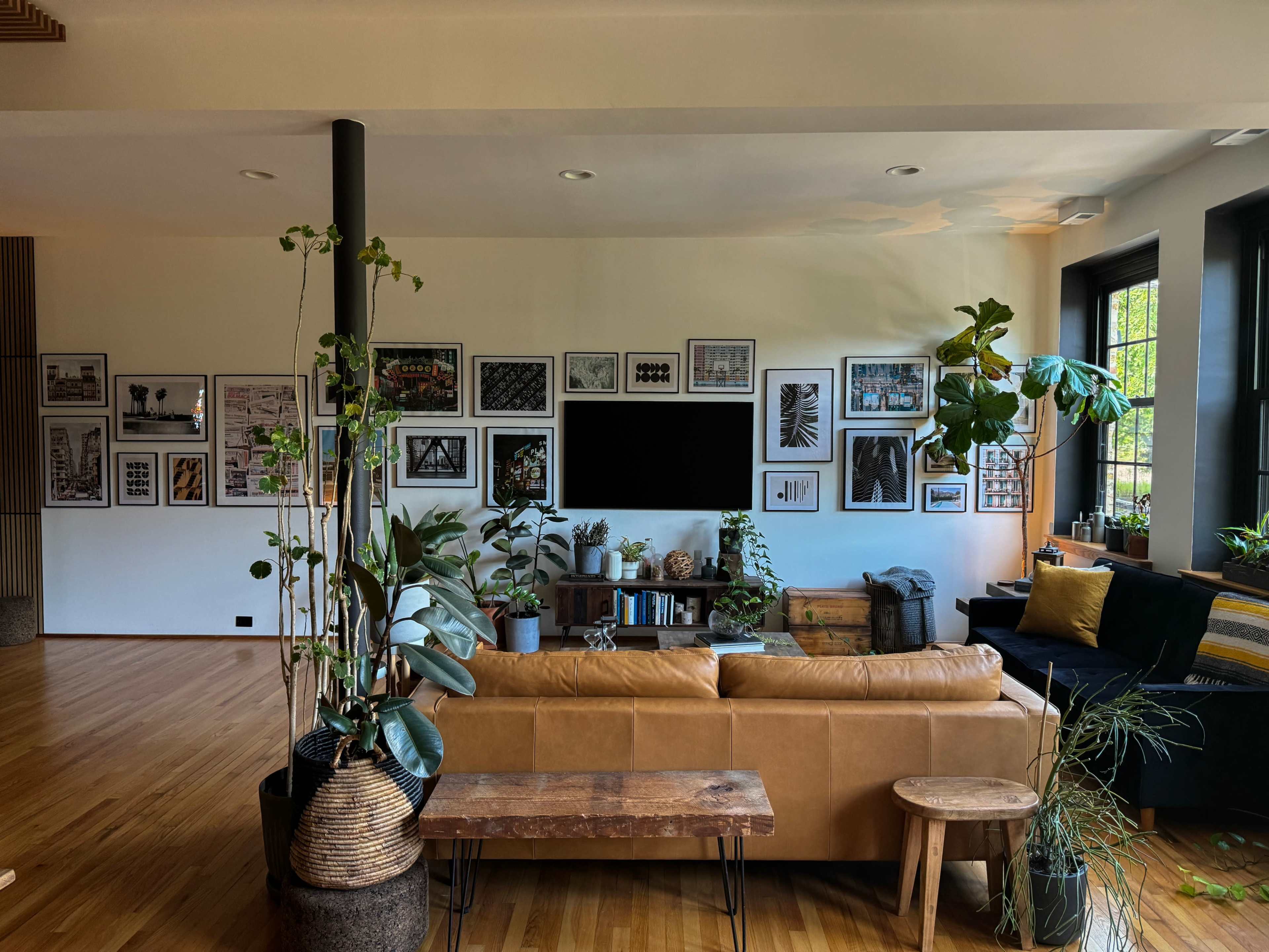 The living room features a leather sofa, a wall adorned with framed photographs, and various indoor plants arranged throughout the space.
