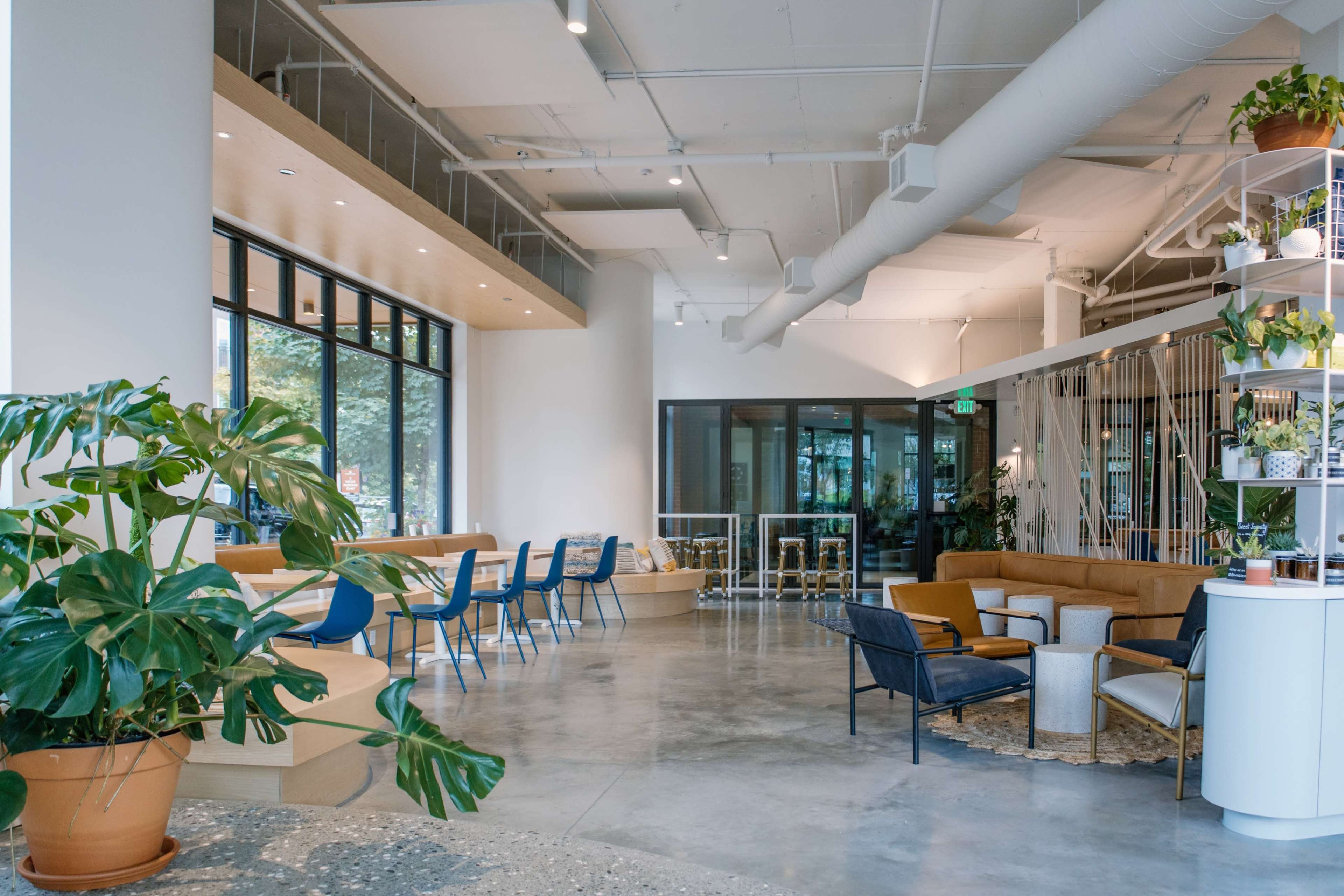 A modern, spacious interior of a café or lounge area with large windows, seating arrangements, and decorative plants.