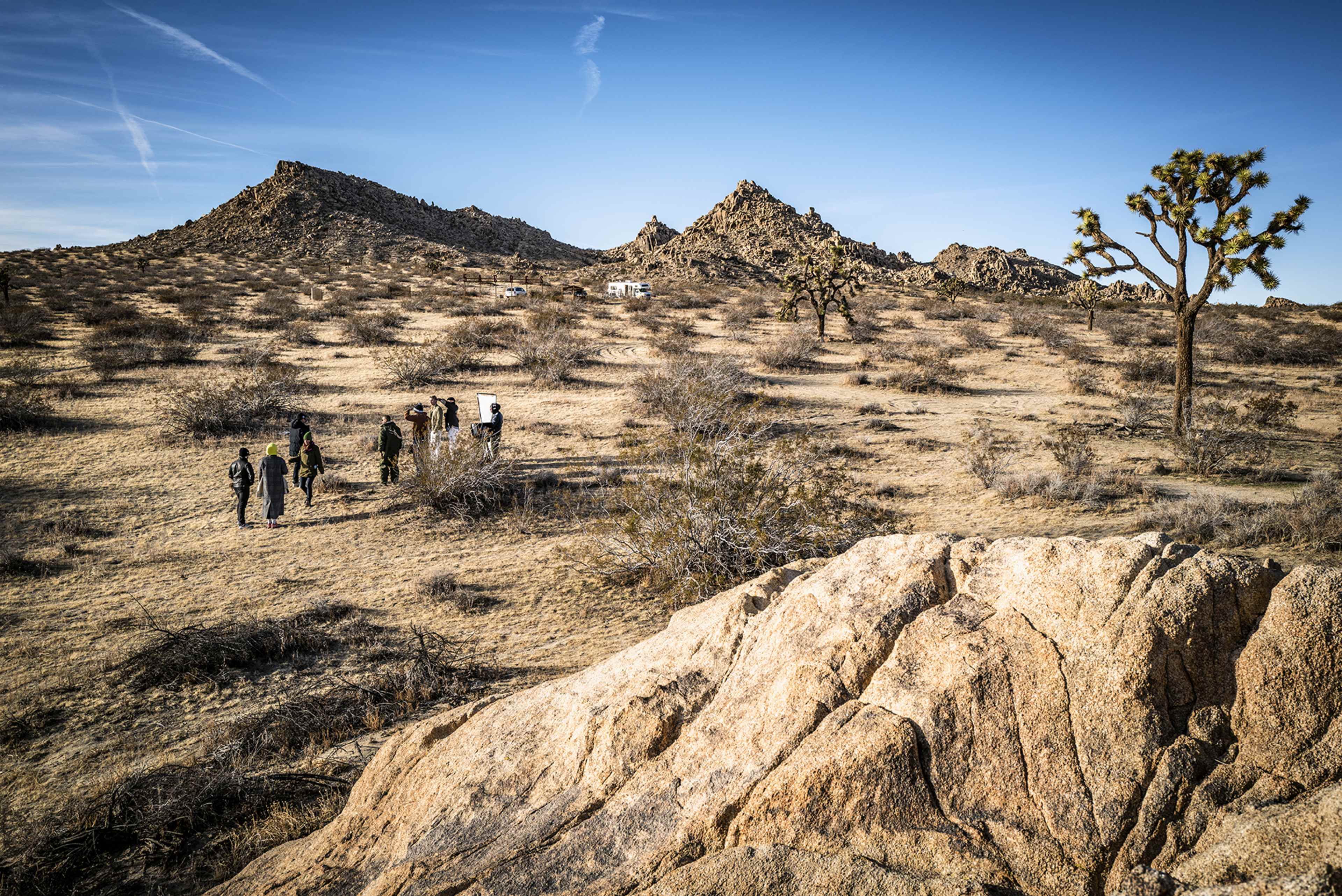 A group of people walks across a desert landscape featuring rocky terrain and sparse vegetation, with mountains in the background and a lone Joshua tree.