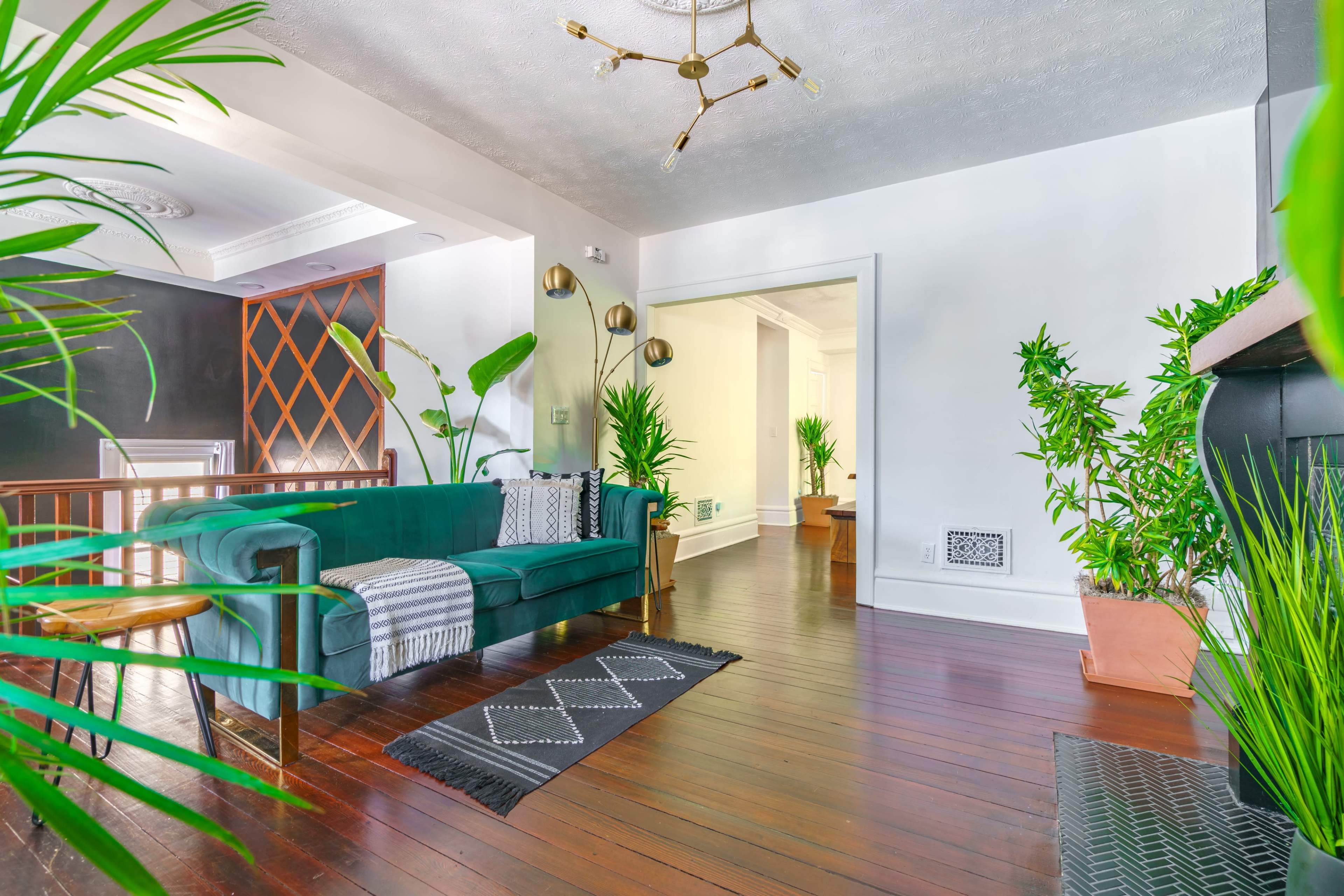 The image shows a modern living room with a green sofa, a dark hardwood floor, and various indoor plants.