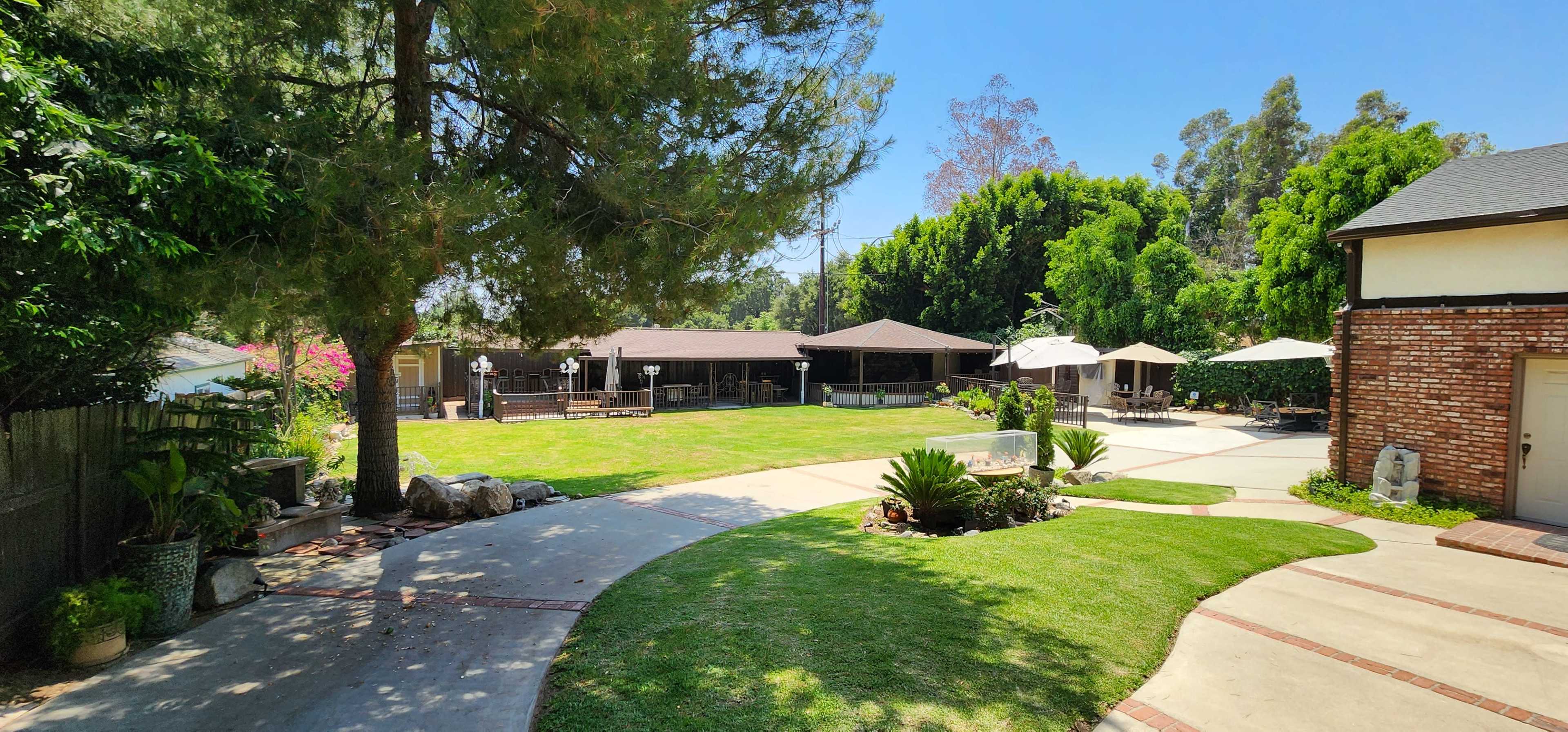 The image shows a spacious backyard with well-maintained grass, a mix of trees, several patio umbrellas, and separate structures in the background.