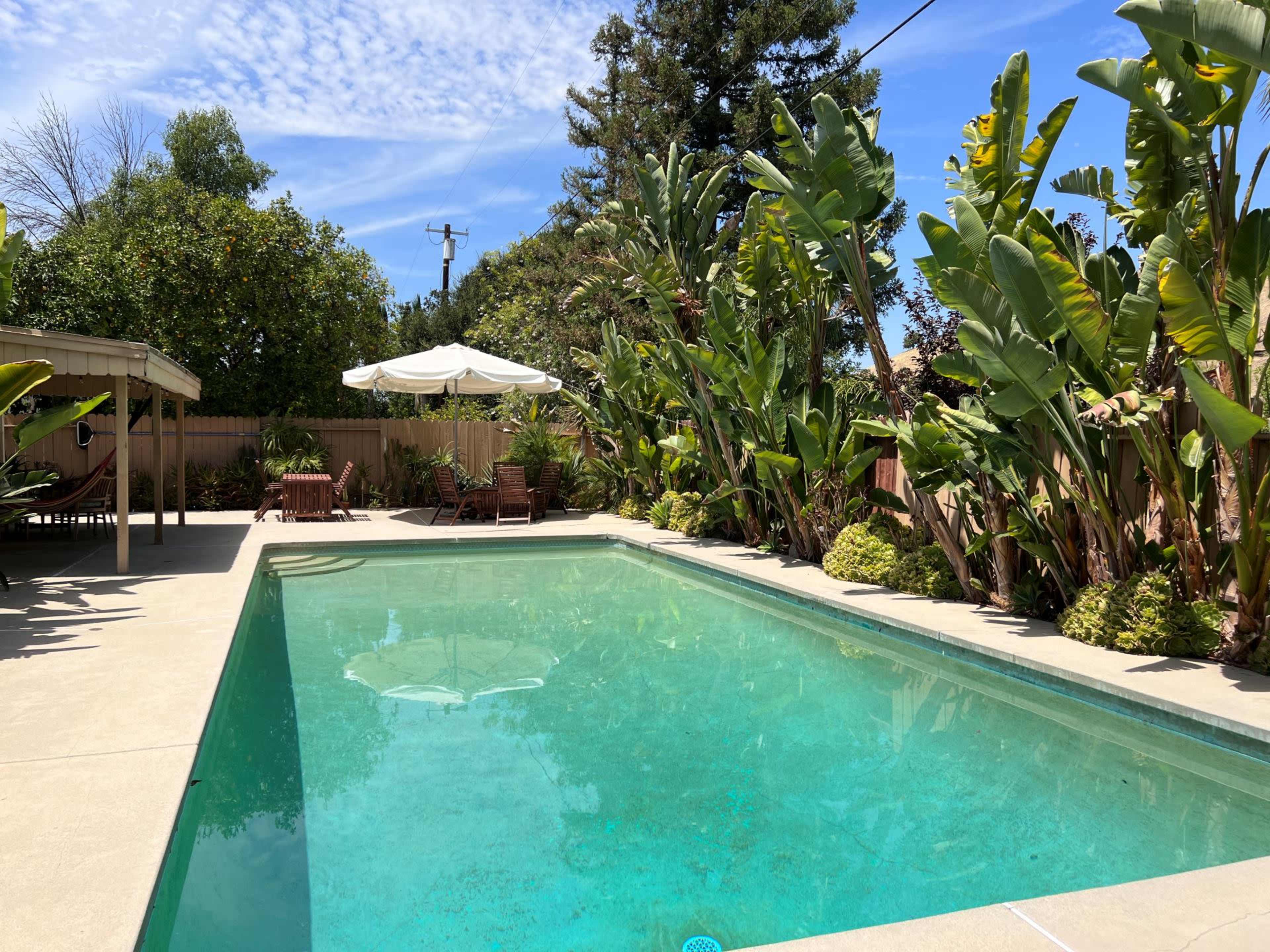 A clear swimming pool is surrounded by tall tropical plants and patio furniture under an umbrella in a sunny outdoor space.