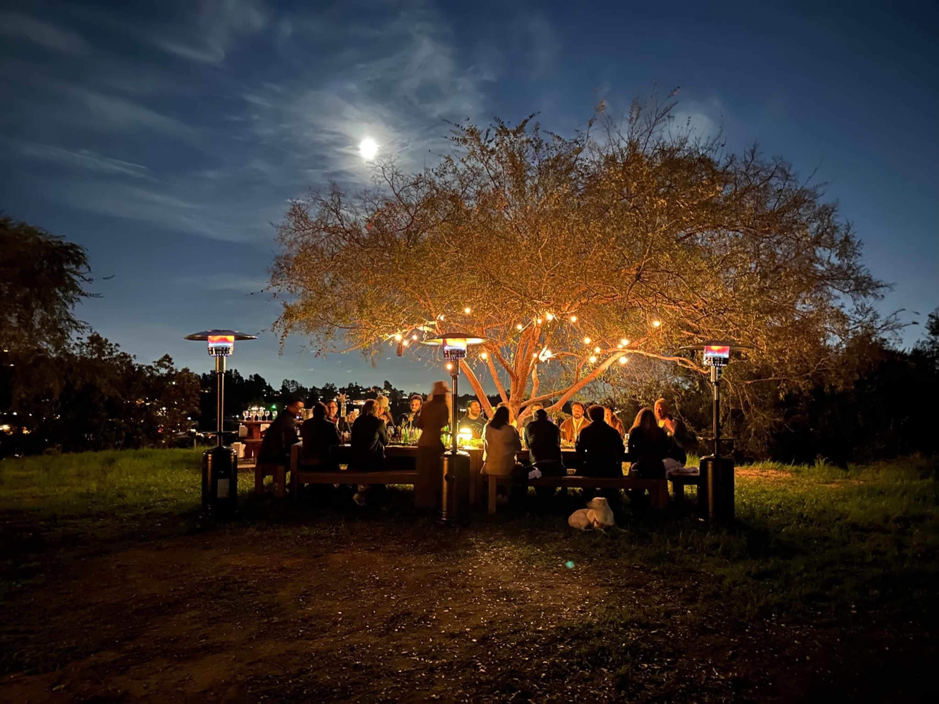 A group of people sits around a long table under a lit tree at night, with heaters and string lights illuminating the scene.