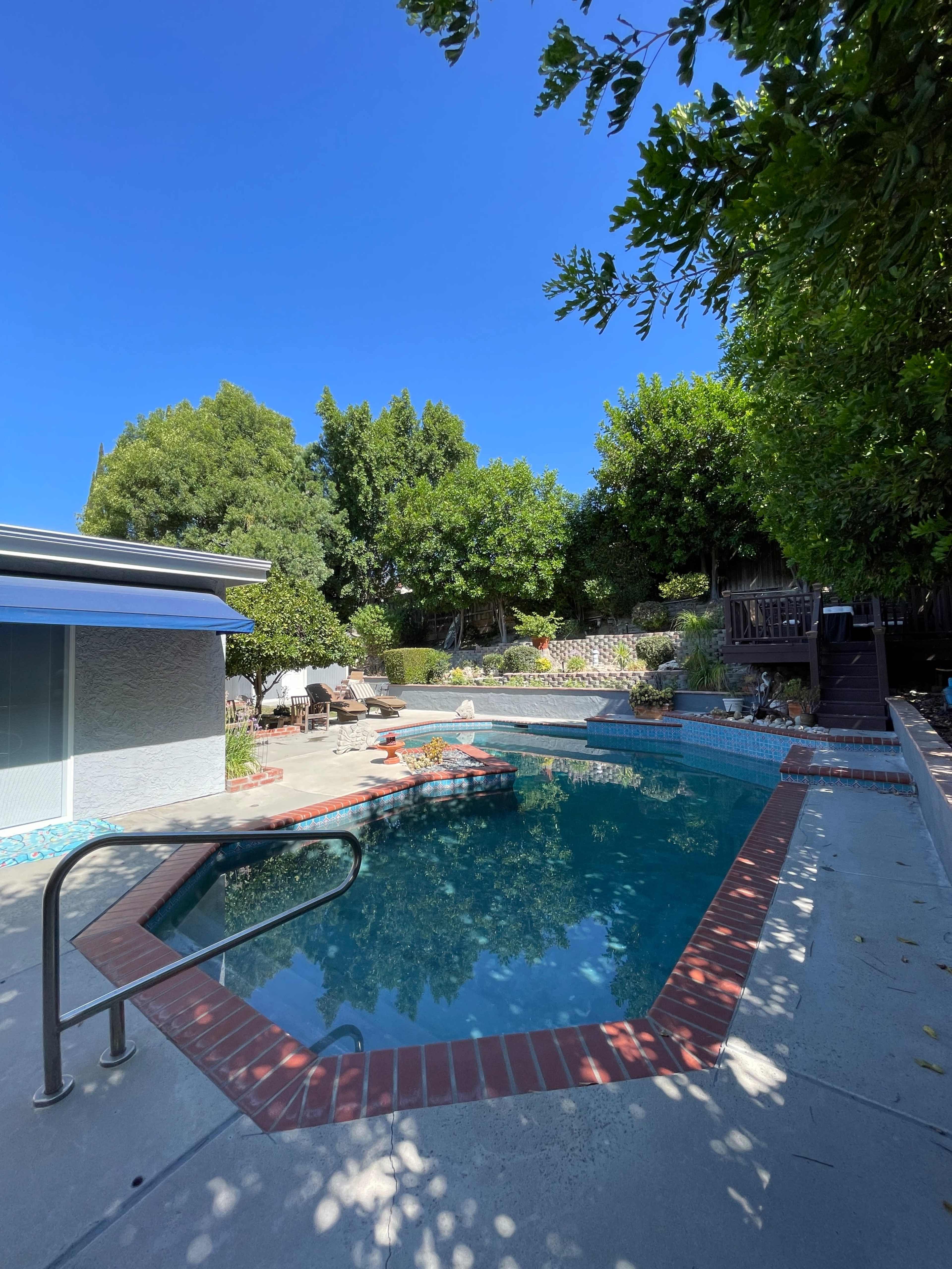 A swimming pool surrounded by trees and lounge furniture on a sunny day.