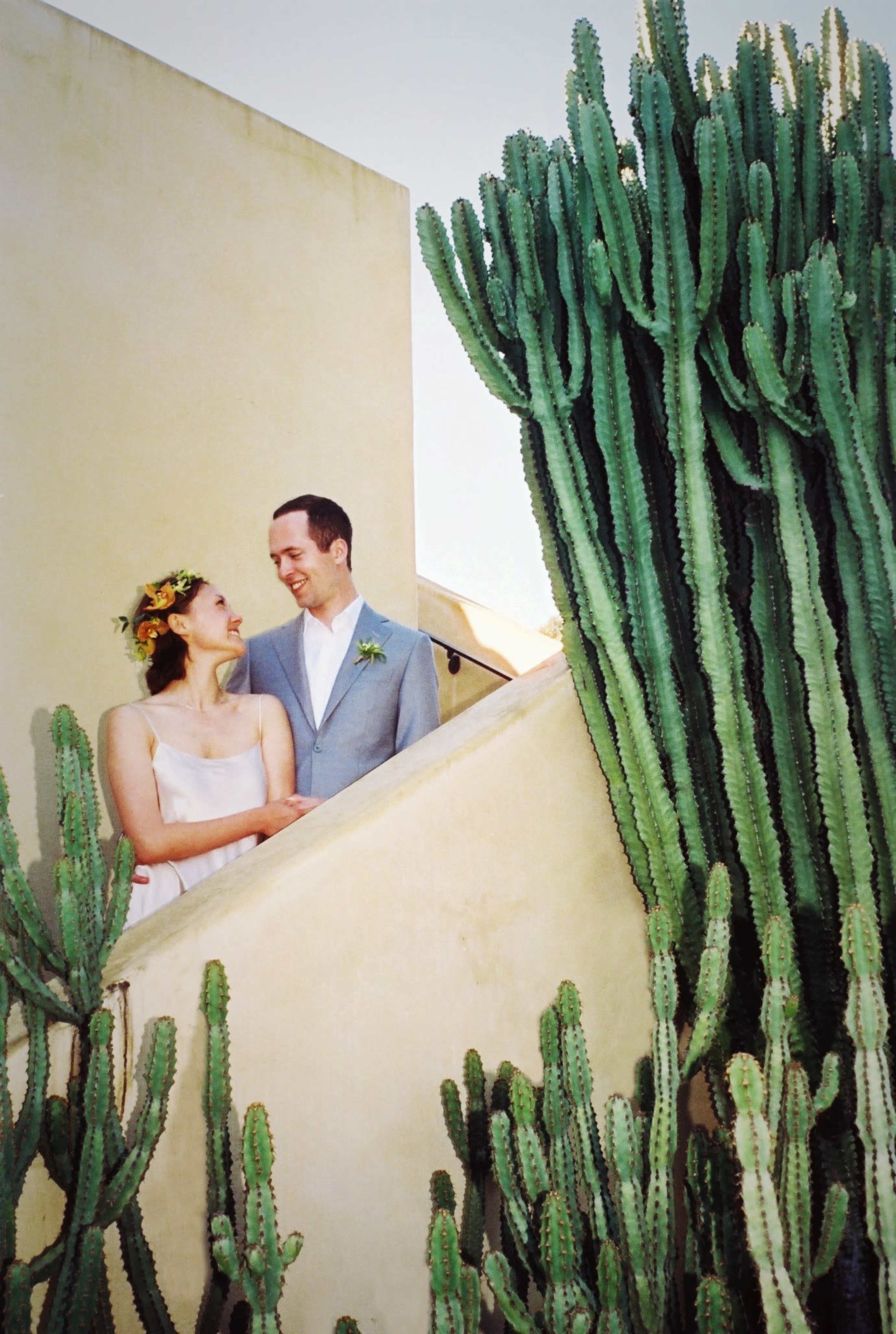 A couple dressed in wedding attire stands on a staircase surrounded by tall cacti against a plain wall.