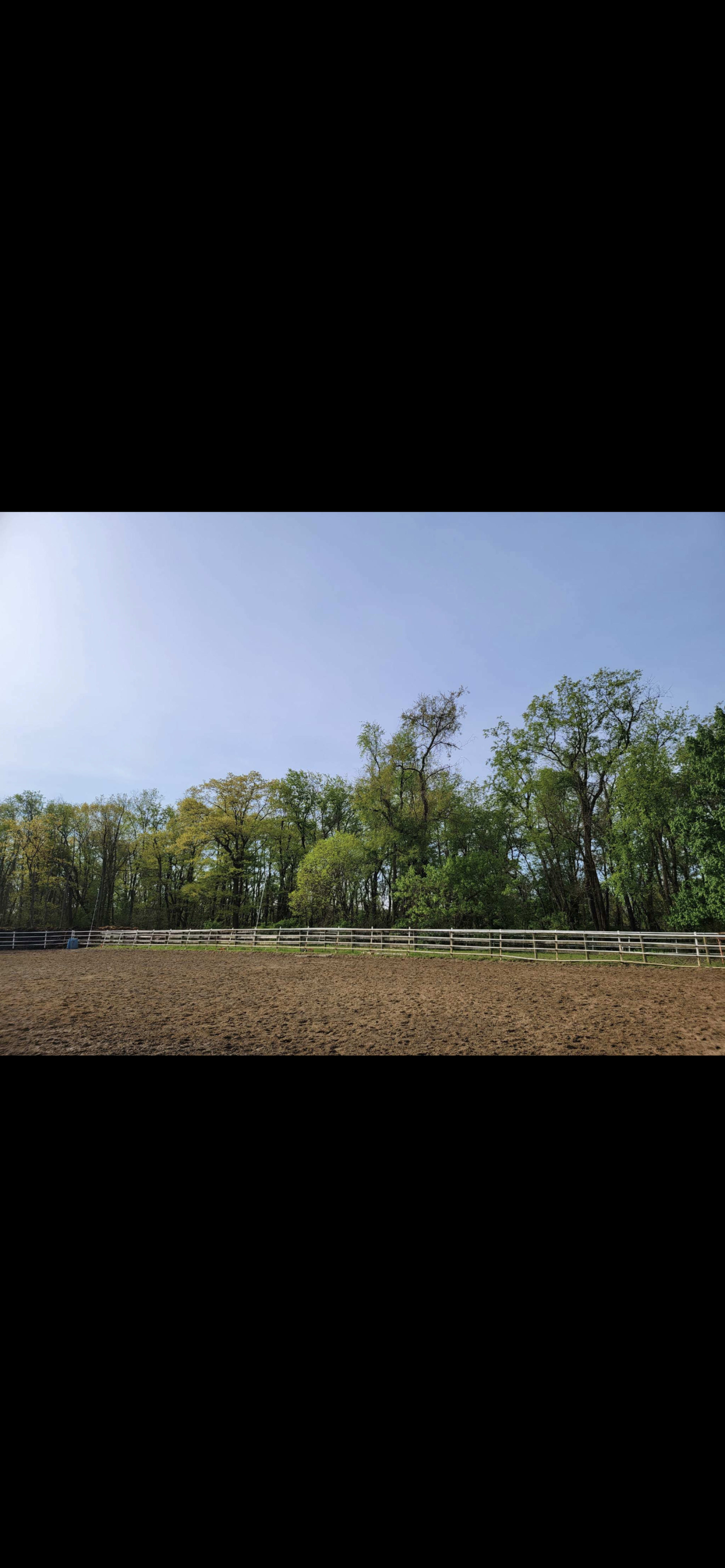 A fenced arena is situated in a clearing surrounded by lush trees under a clear sky.