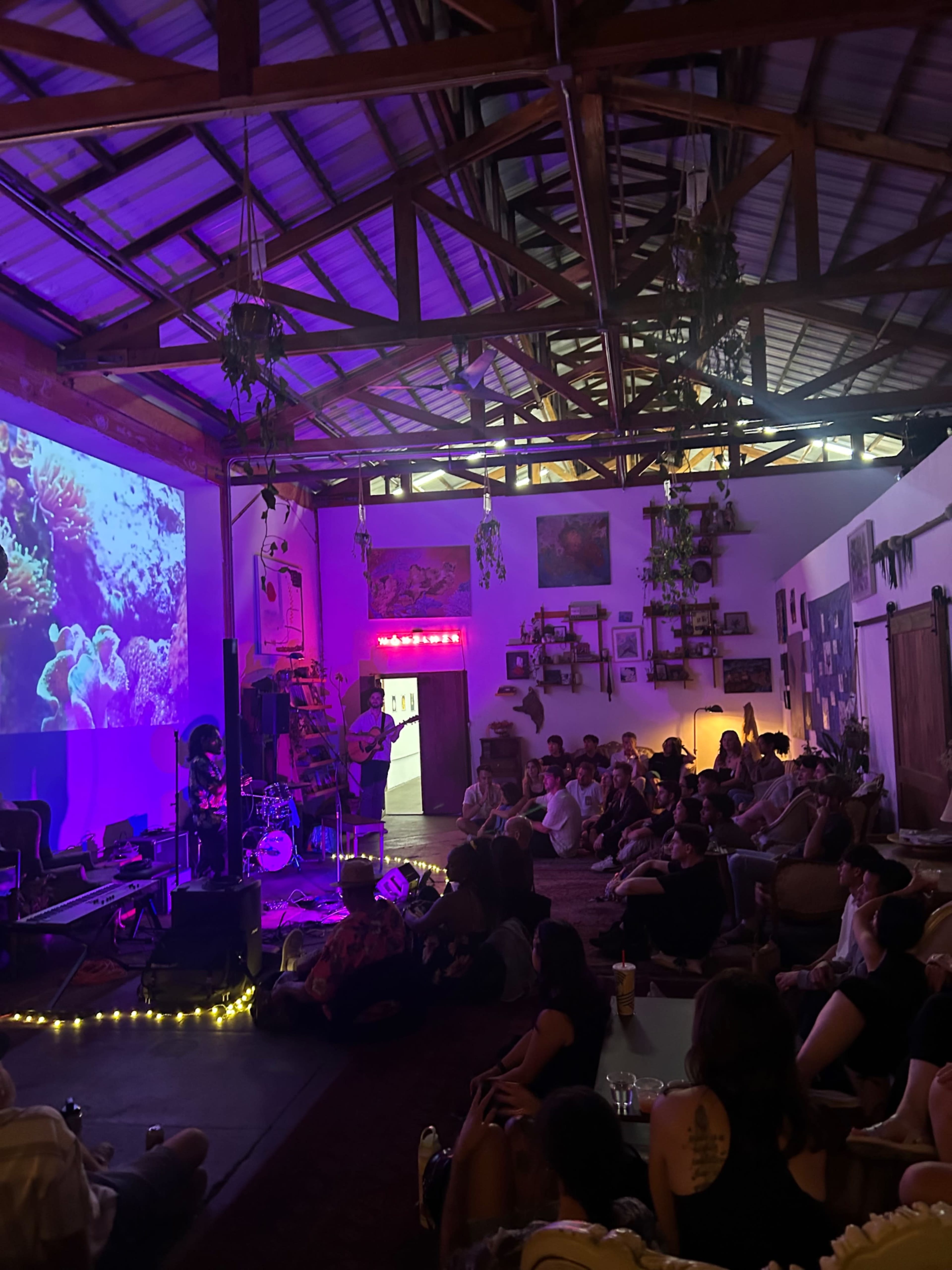 A musician performs on stage in a dimly lit venue filled with an audience seated on the floor, surrounded by plants and colorful decorations.