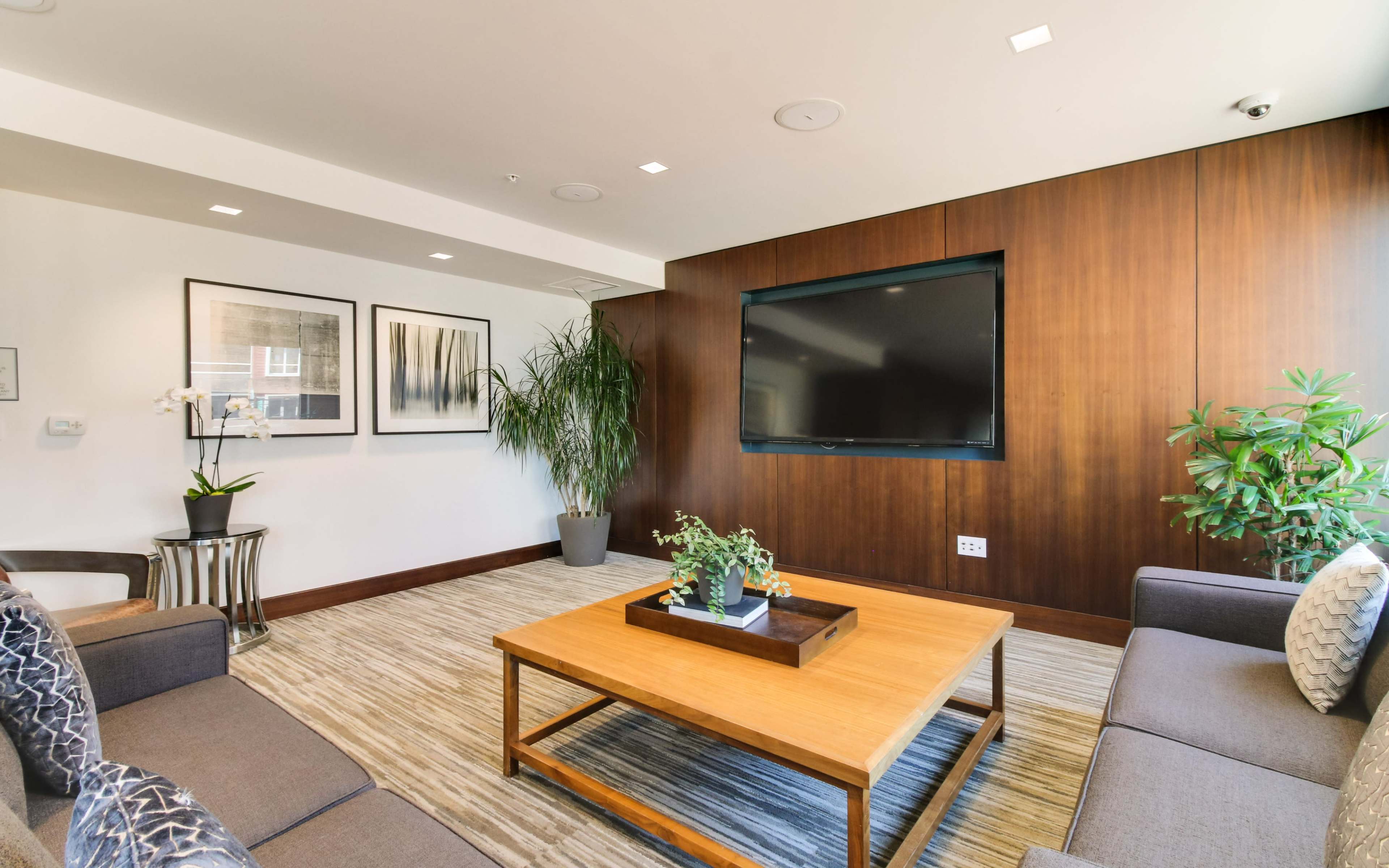 A modern lounge area featuring two gray sofas, a wooden coffee table with a decorative planter, and a large wall-mounted TV against a dark wood paneled backdrop.