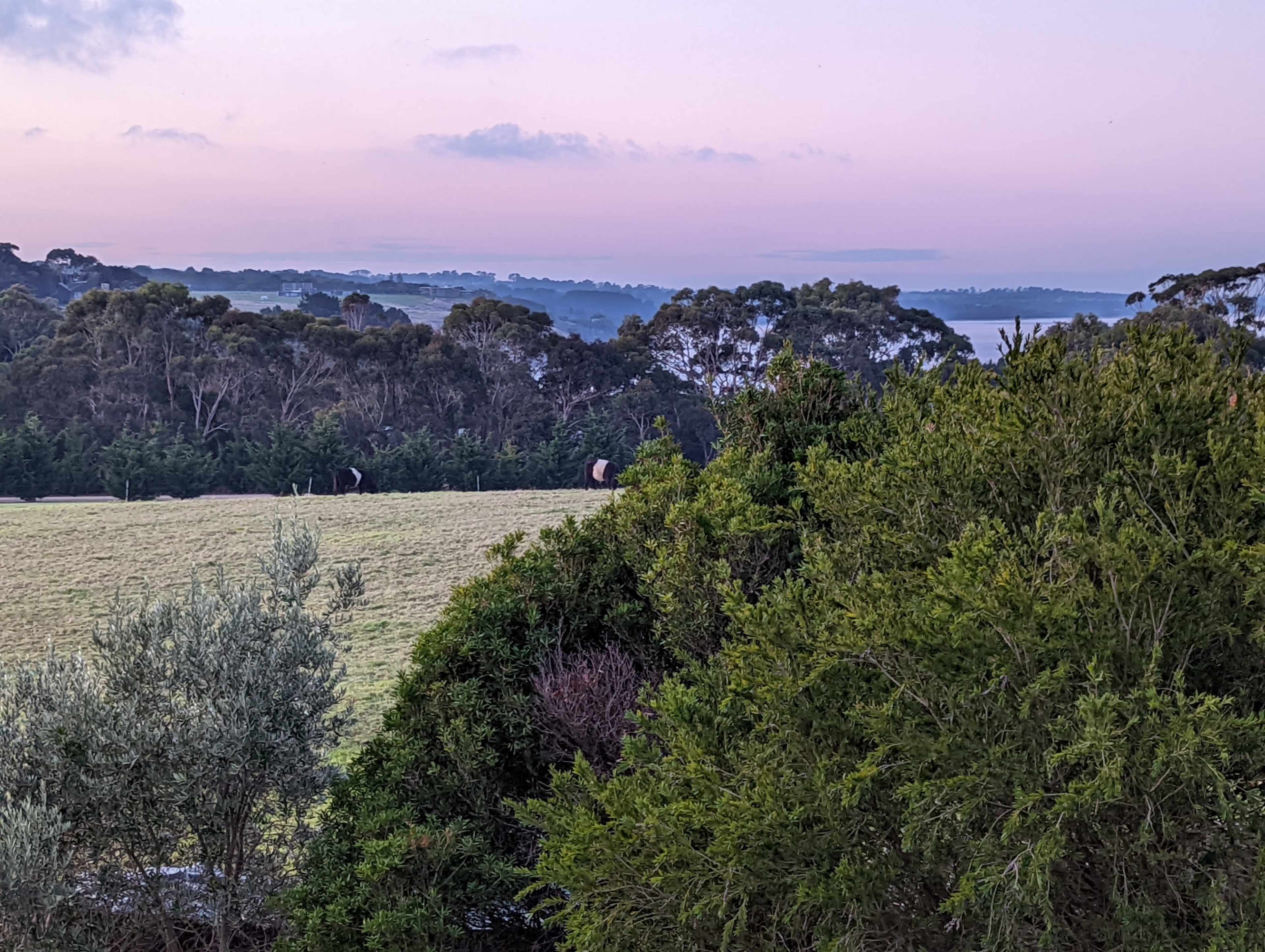 The image shows a rural landscape with rolling hills, a grassy field, and several trees, set against a pastel sky at dawn.