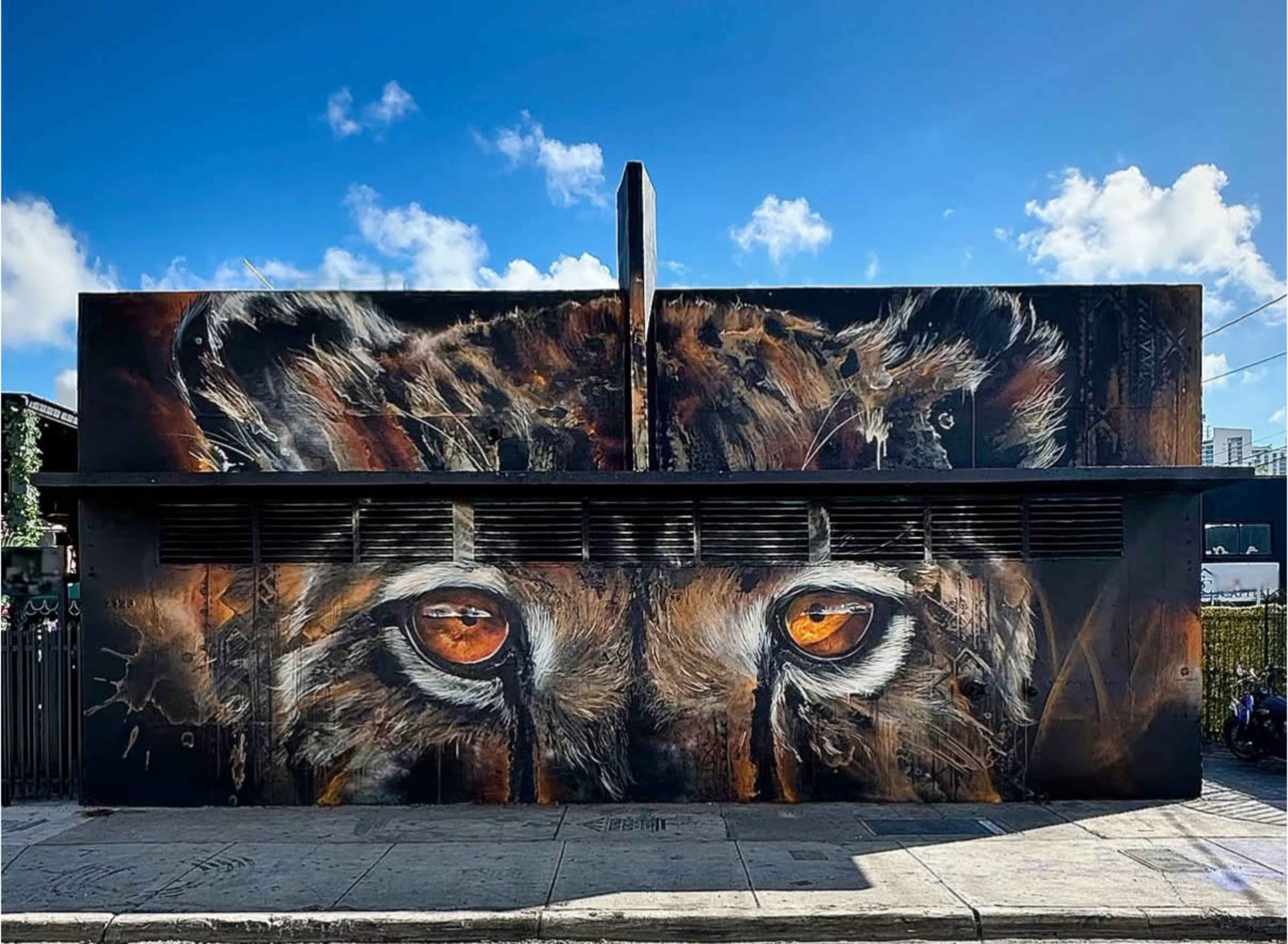 Wynwood Art Gallery with Rooftop Image in Wynwood, miami, FL