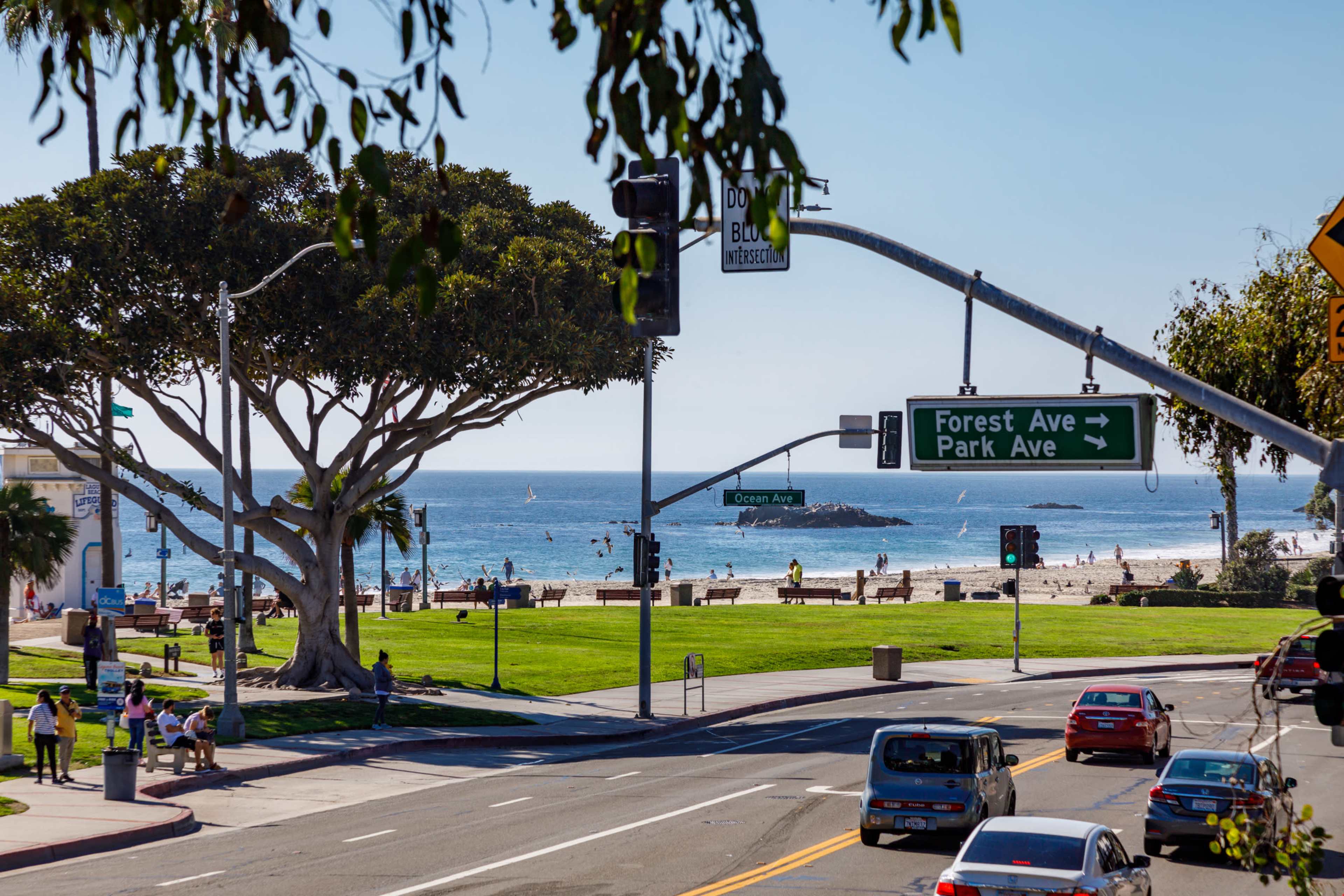 A view of a coastal road leading to a beach with people and sailboats in the water, framed by street signs indicating directions to Forest Avenue and Park Avenue.