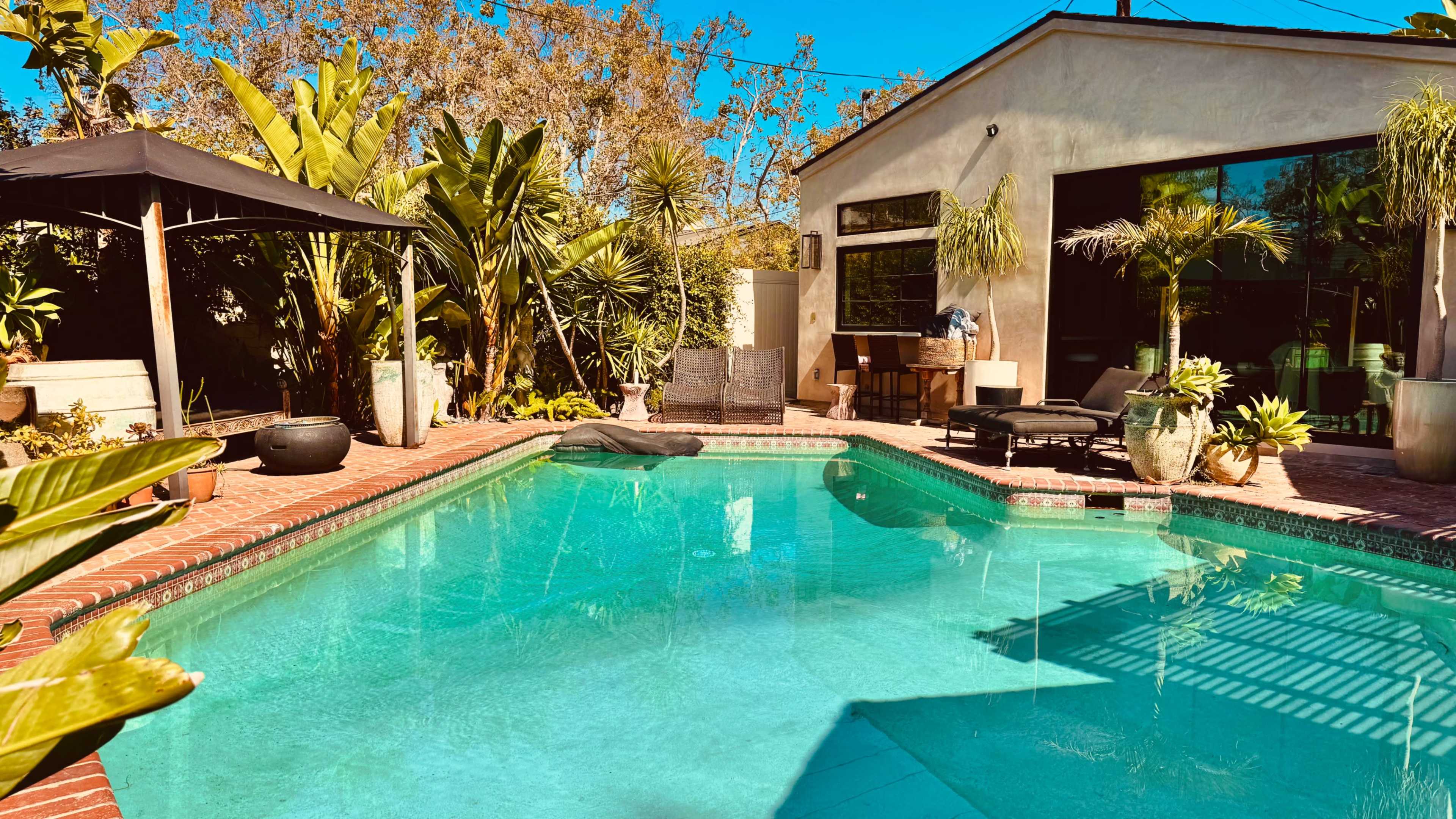The image shows a backyard pool surrounded by tropical plants and a lounge area with outdoor furniture.