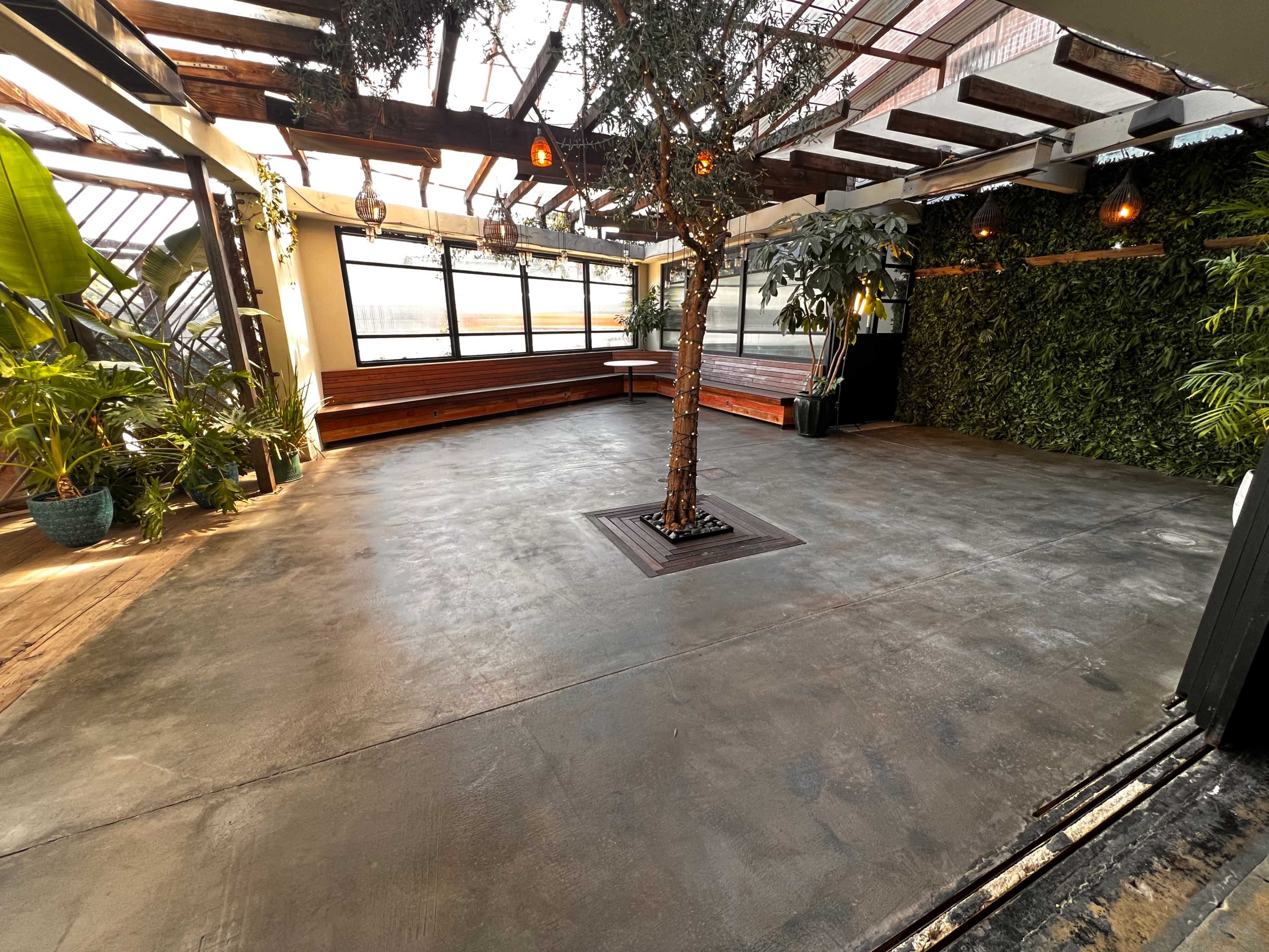 The image shows a spacious indoor area with a concrete floor, a central tree, and various plants, featuring large windows and wooden seating.