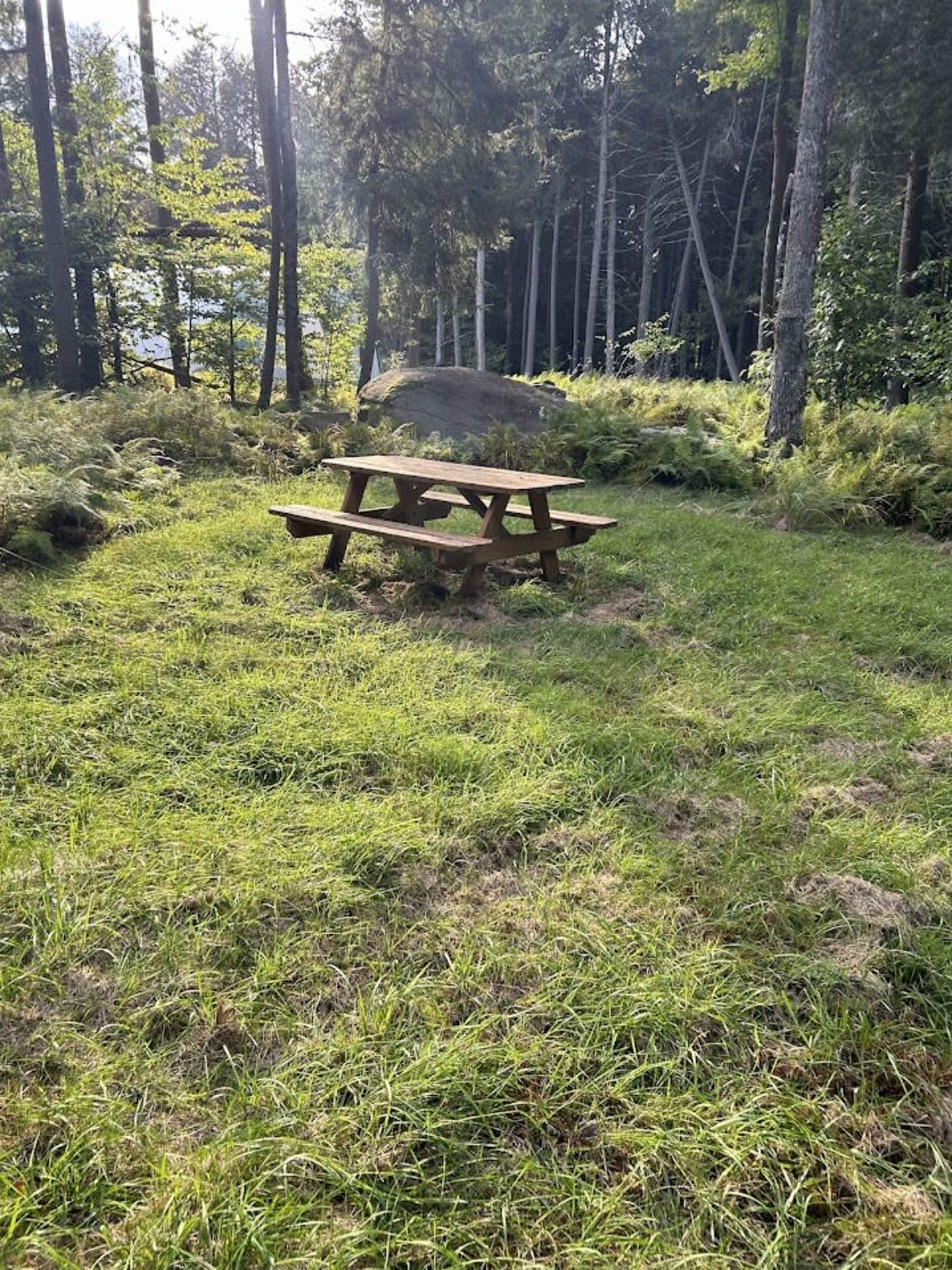 Rural wood area with privacy, recreation space and unique landscape features Image in Bethel, Mongaup Valley, NY