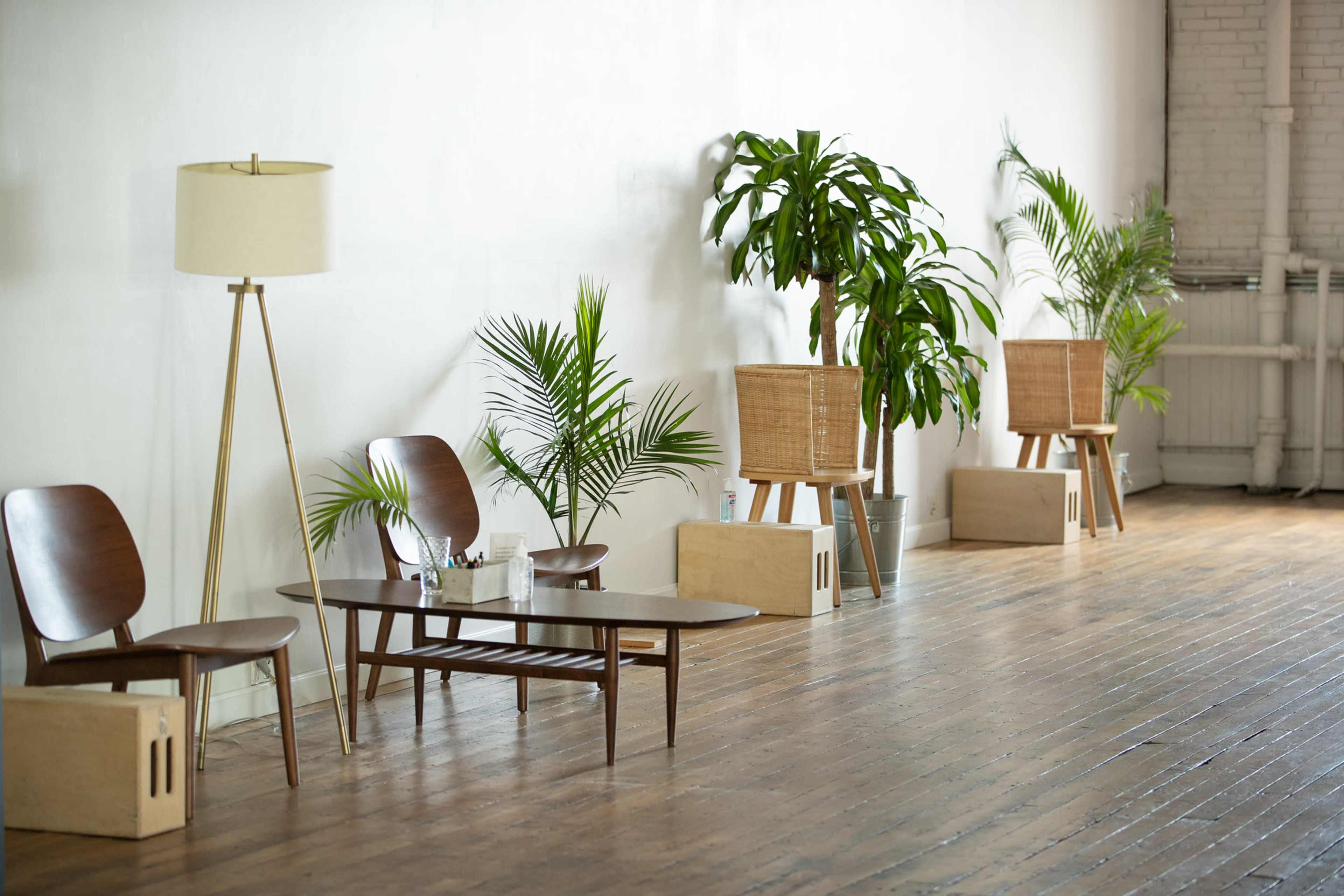 The scene features a minimalist interior with wooden furniture, a floor lamp, and potted plants arranged against a light-colored wall.