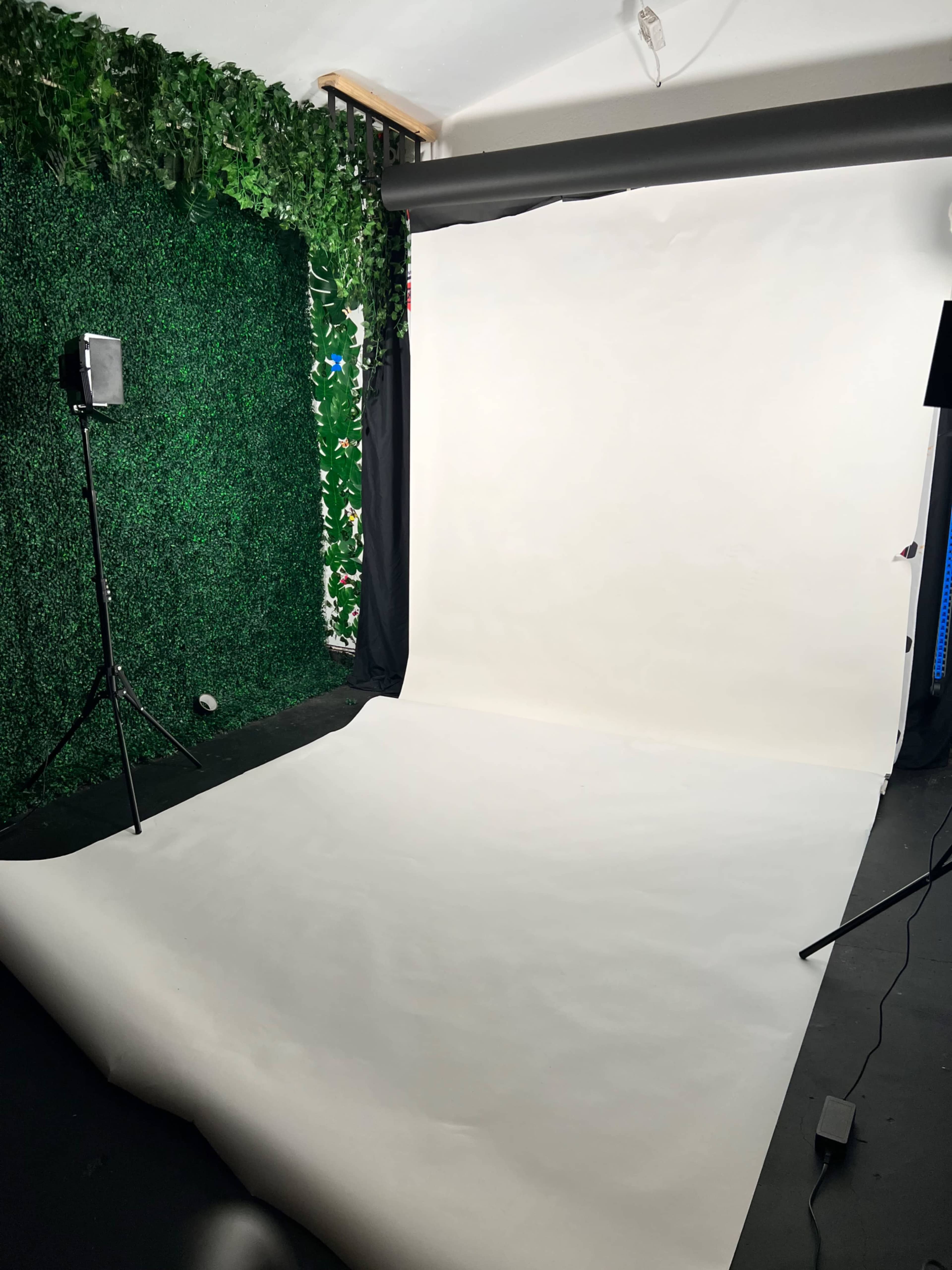 A photography studio with a white backdrop, soft lighting equipment, and a wall covered in artificial greenery.