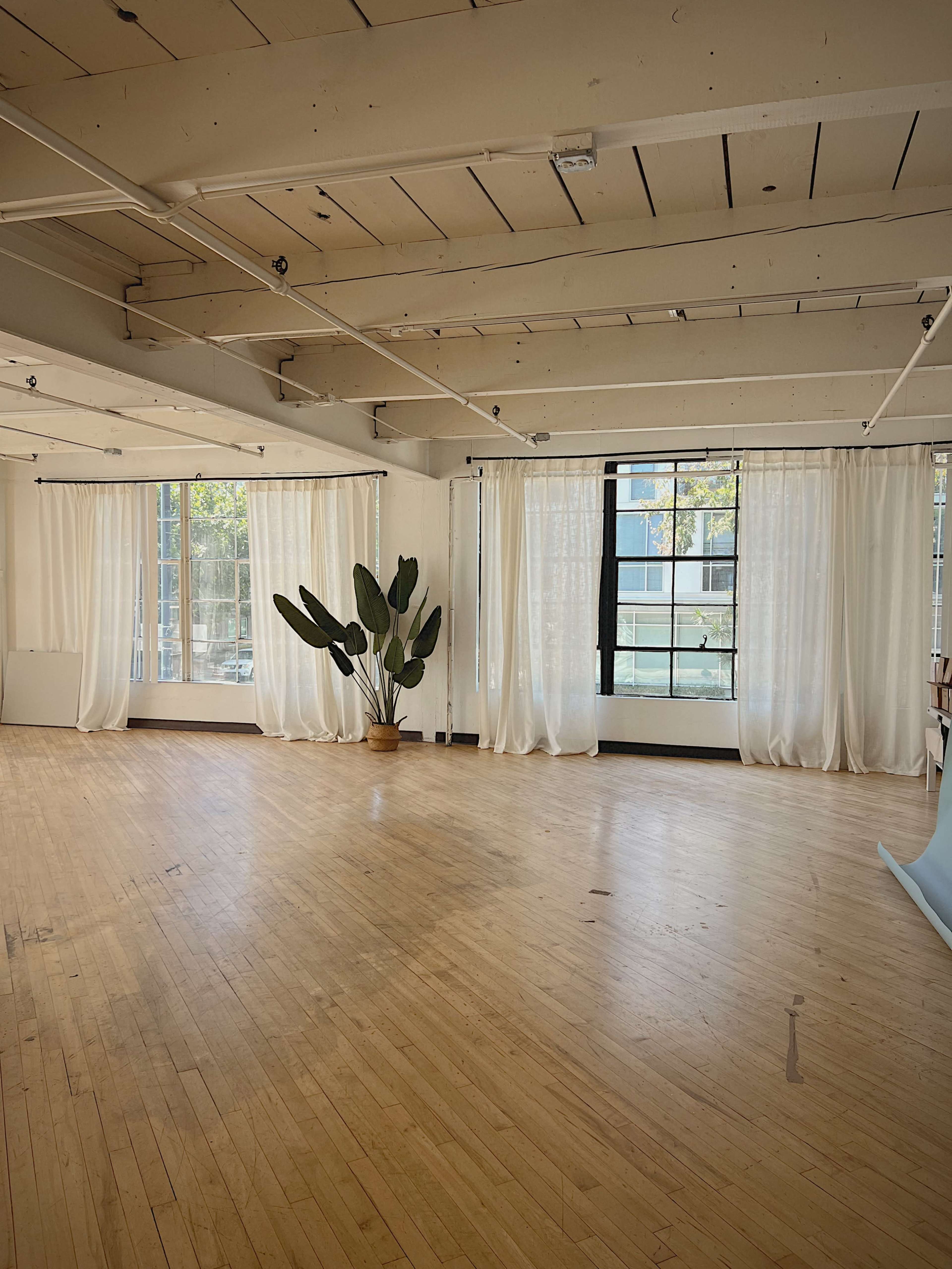 The image shows a spacious, well-lit room featuring large windows, light curtains, and a potted plant in the corner.