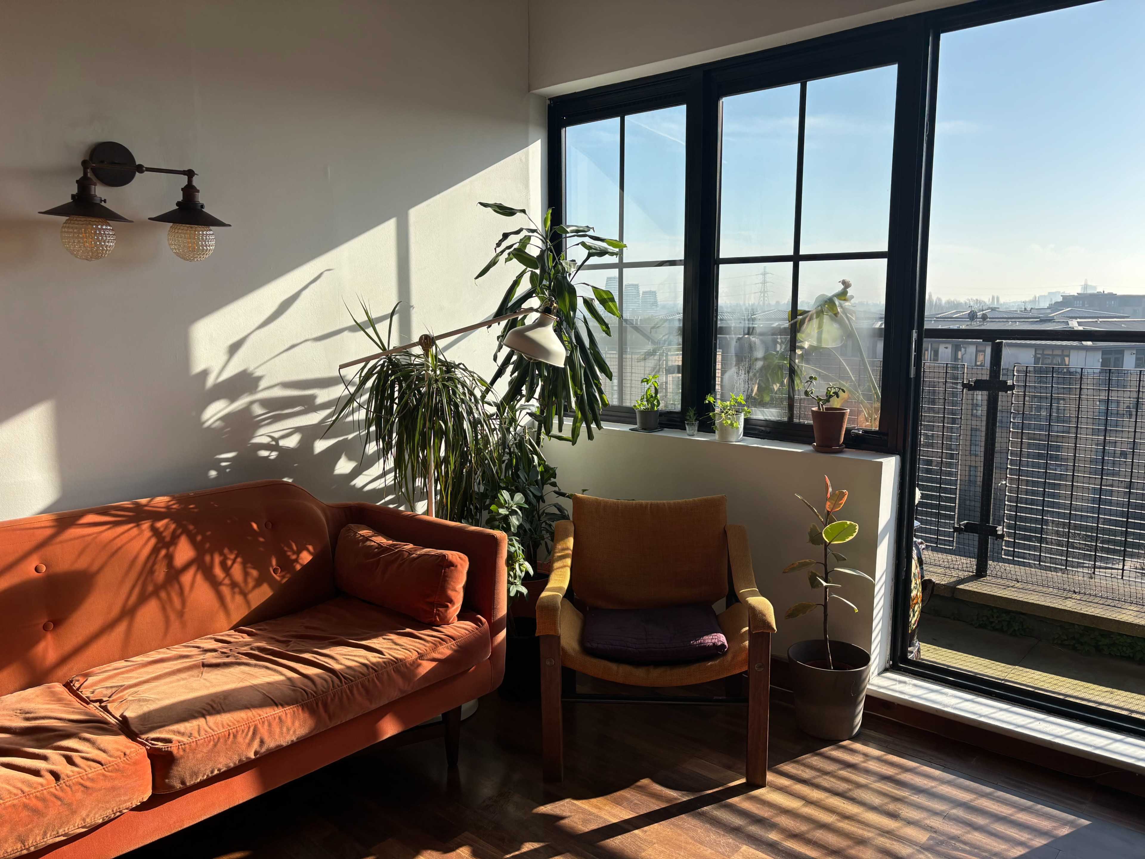 A cozy living area features an orange couch and a wooden chair, surrounded by various indoor plants and a large window that provides natural light.