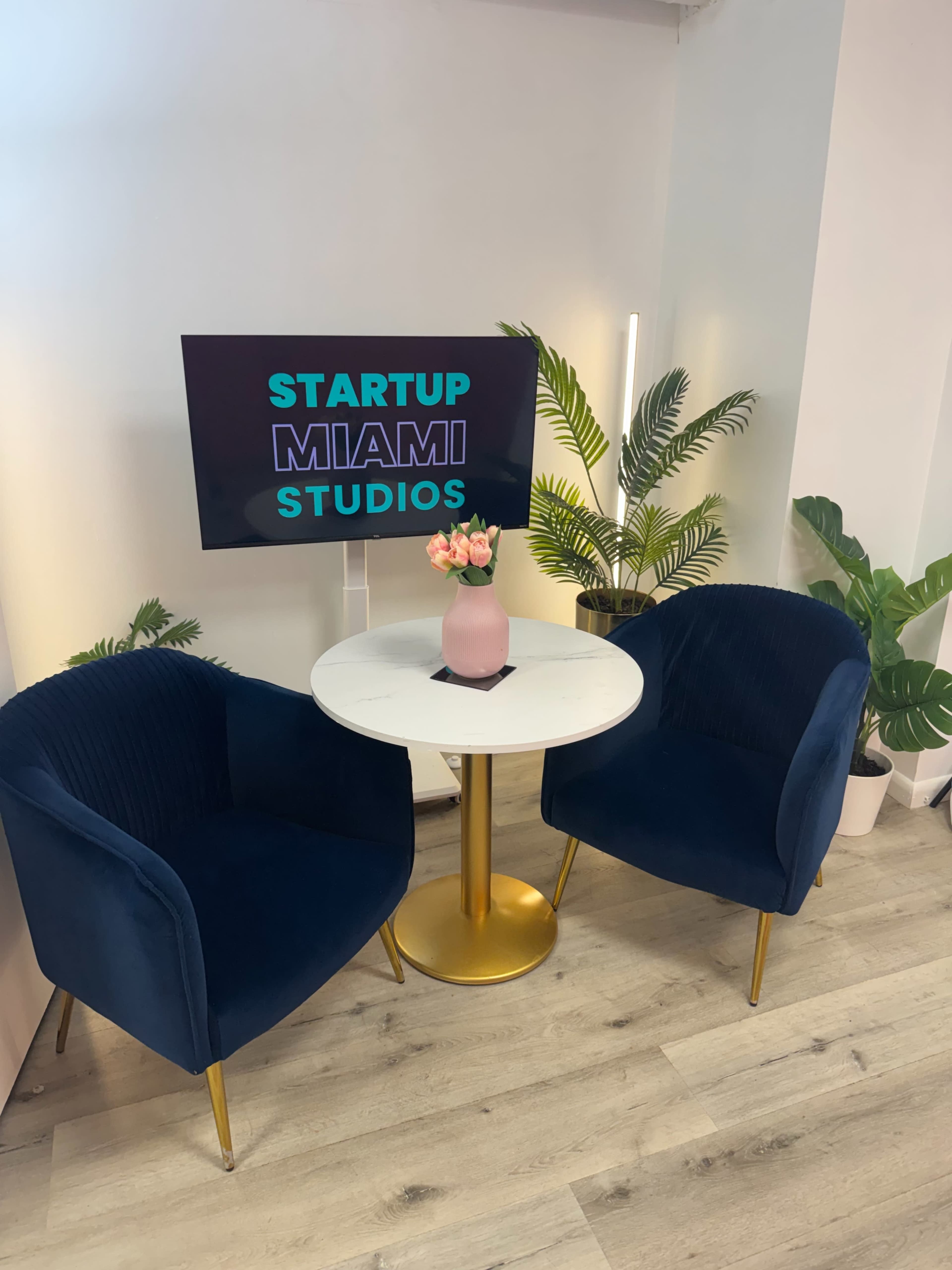 The image shows a small modern café-like setup with two navy blue chairs and a round white table, accompanied by a television displaying "STARTUP MIAMI STUDIOS," and surrounded by potted plants.