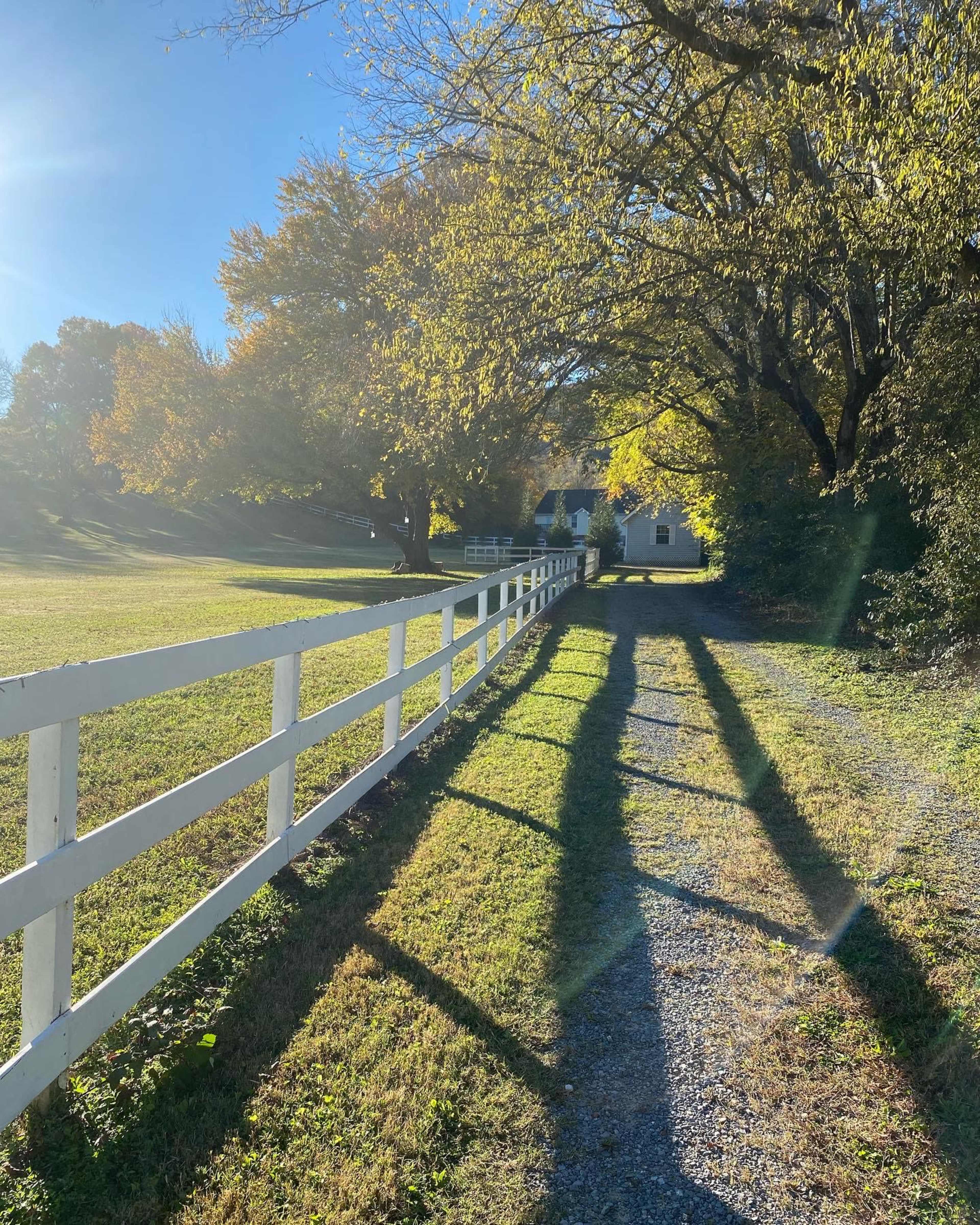 A gravel driveway lined by a white fence leads toward a house shaded by trees with yellow leaves.