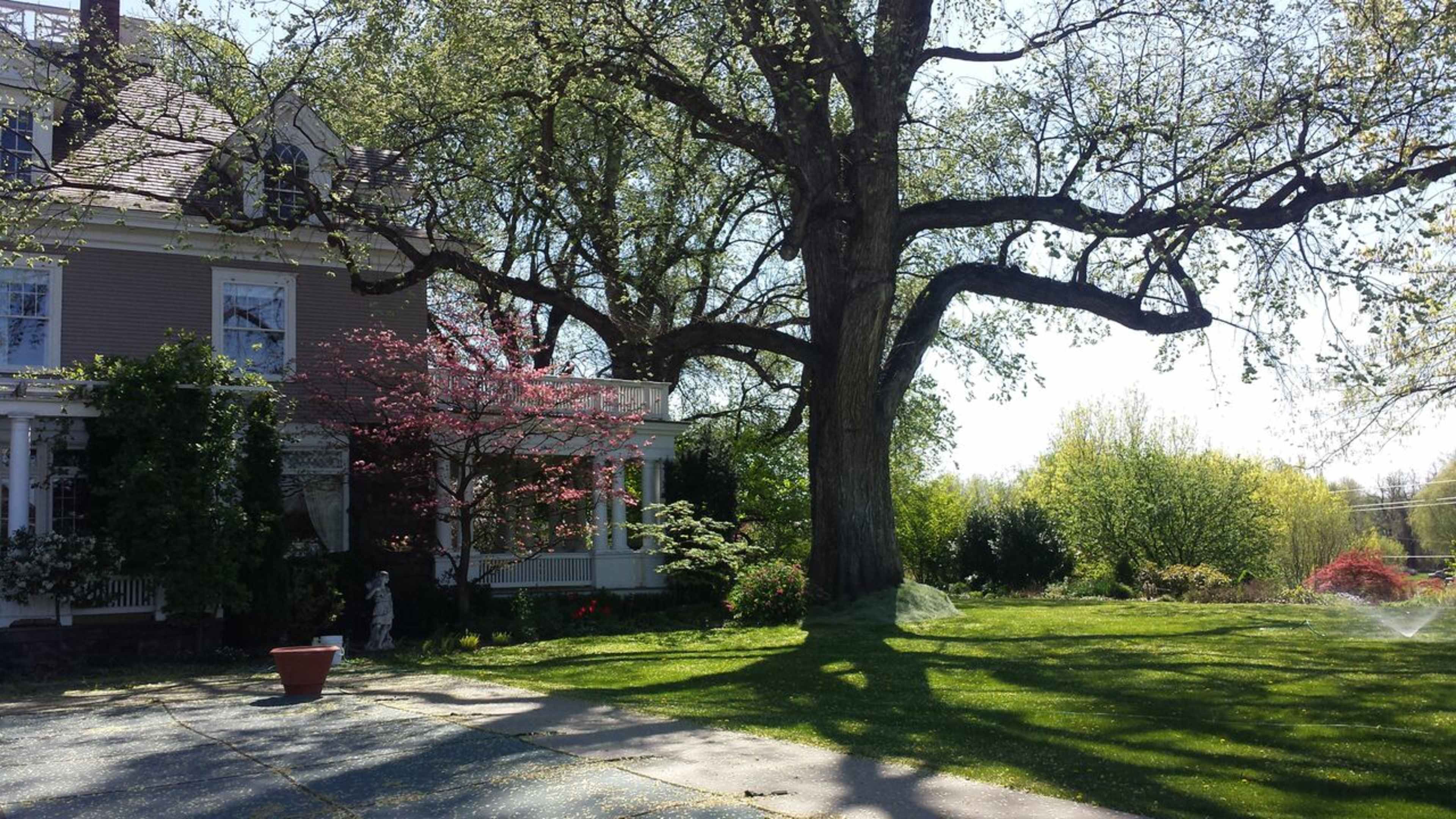 A large tree casts shade over a well-maintained yard, which features a stately house and colorful flowering plants.