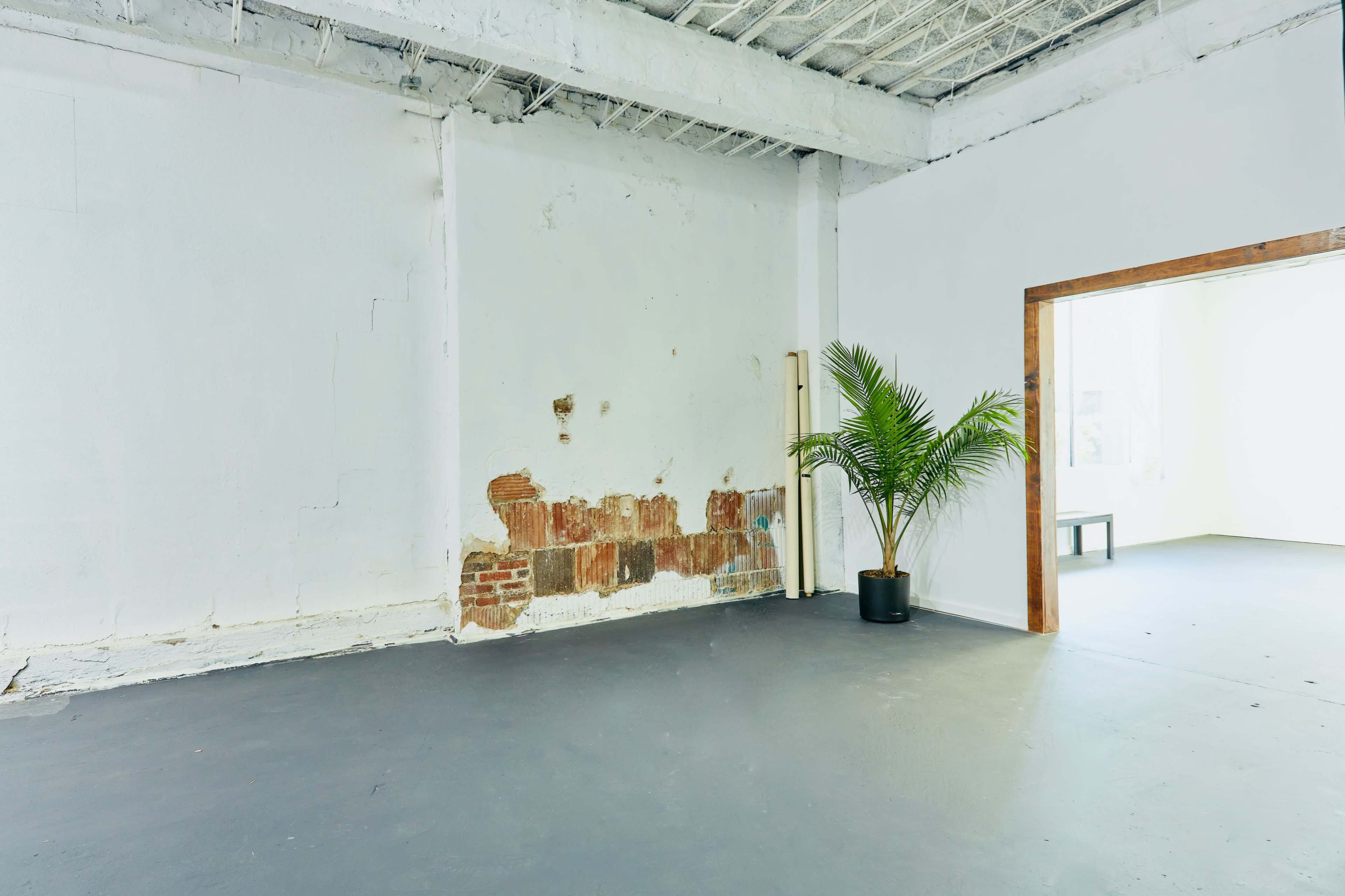 An empty room with a partially exposed brick wall, a potted plant in one corner, and a doorway leading to another area.