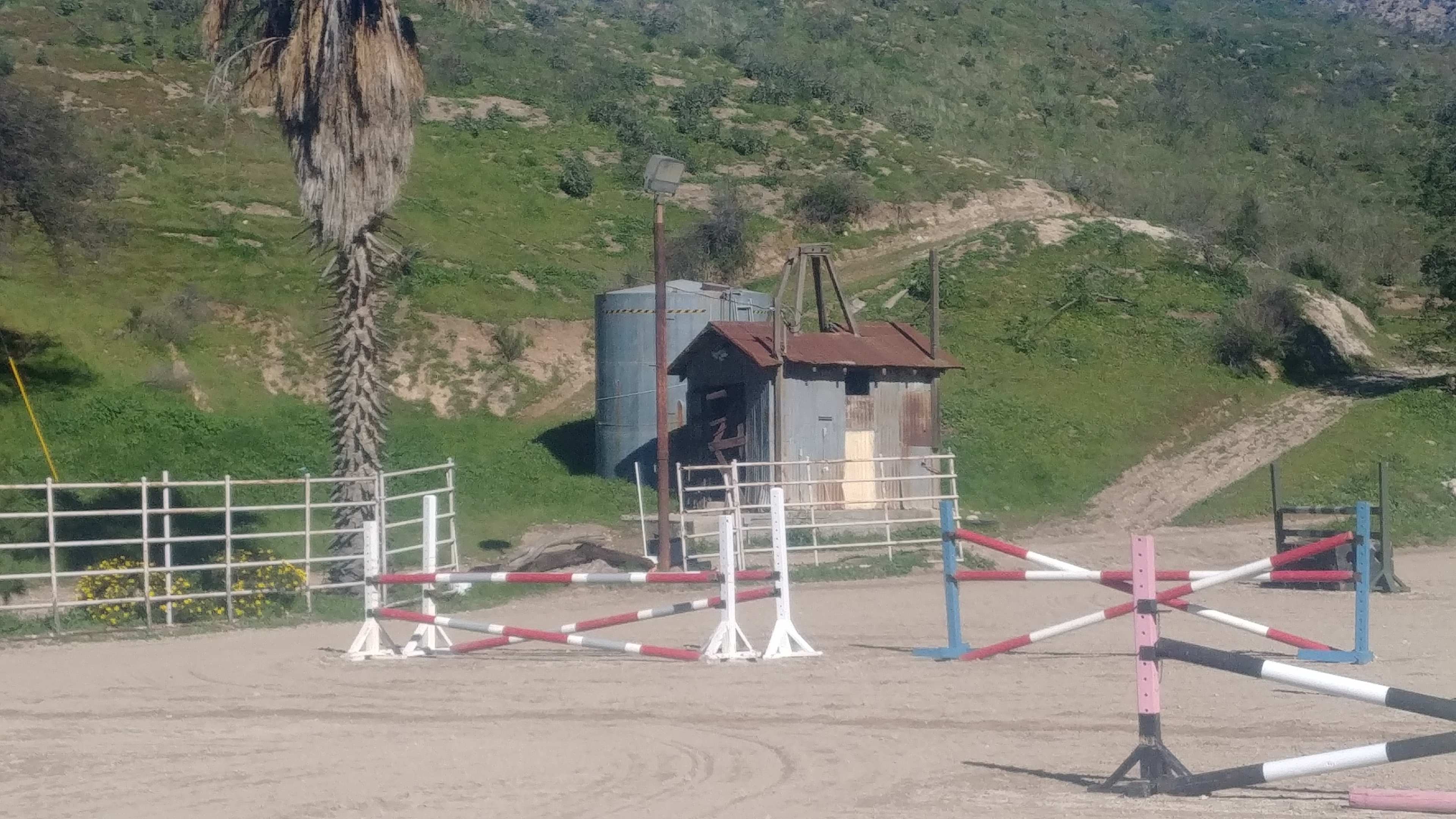The image shows an outdoor equestrian arena with several colorful jump obstacles and a weathered metal shed in the background, set against a hillside.