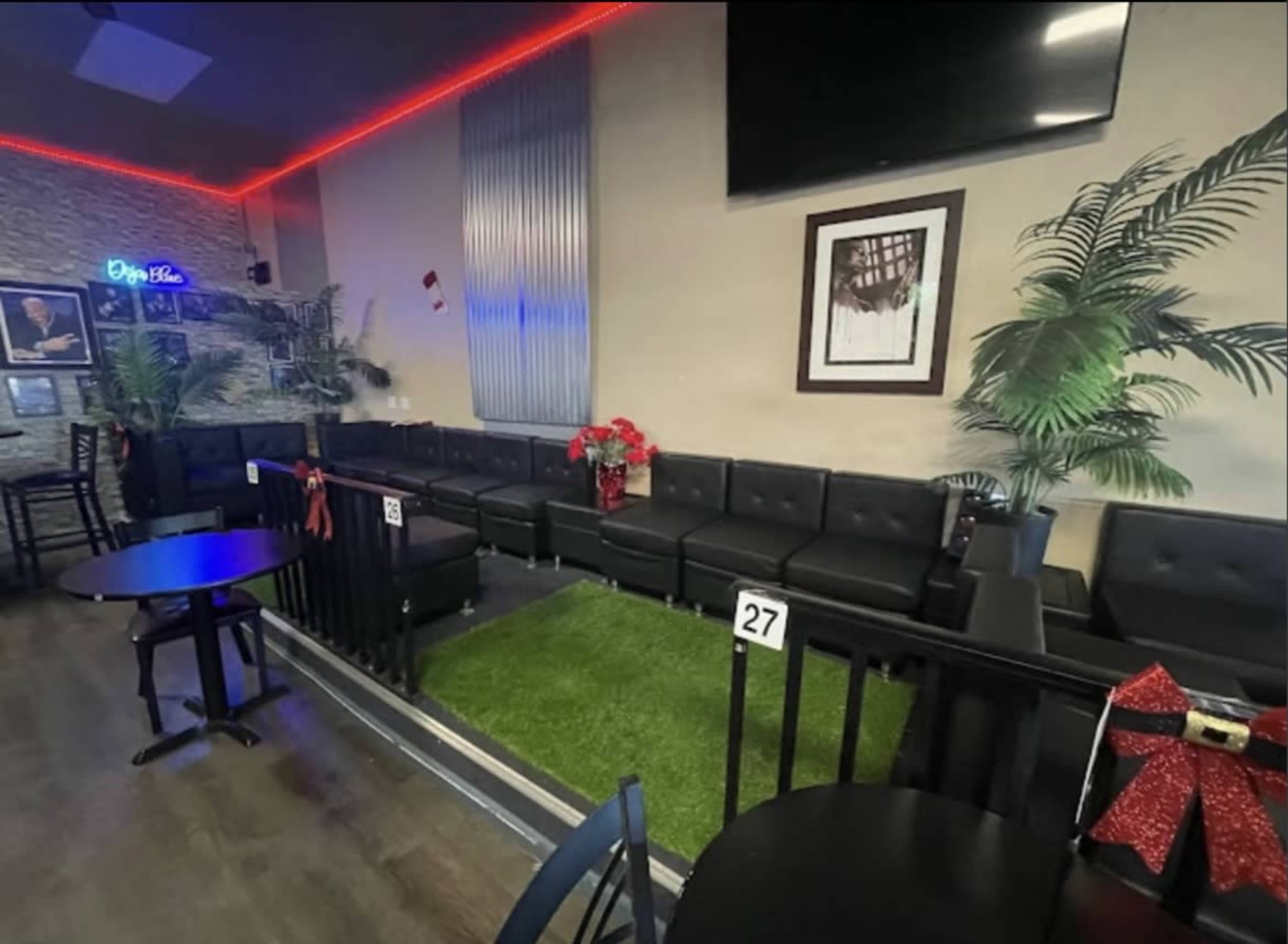 The image shows a lounge area with black couches, a small patch of artificial grass, and decorative plants, illuminated by red LED lighting.