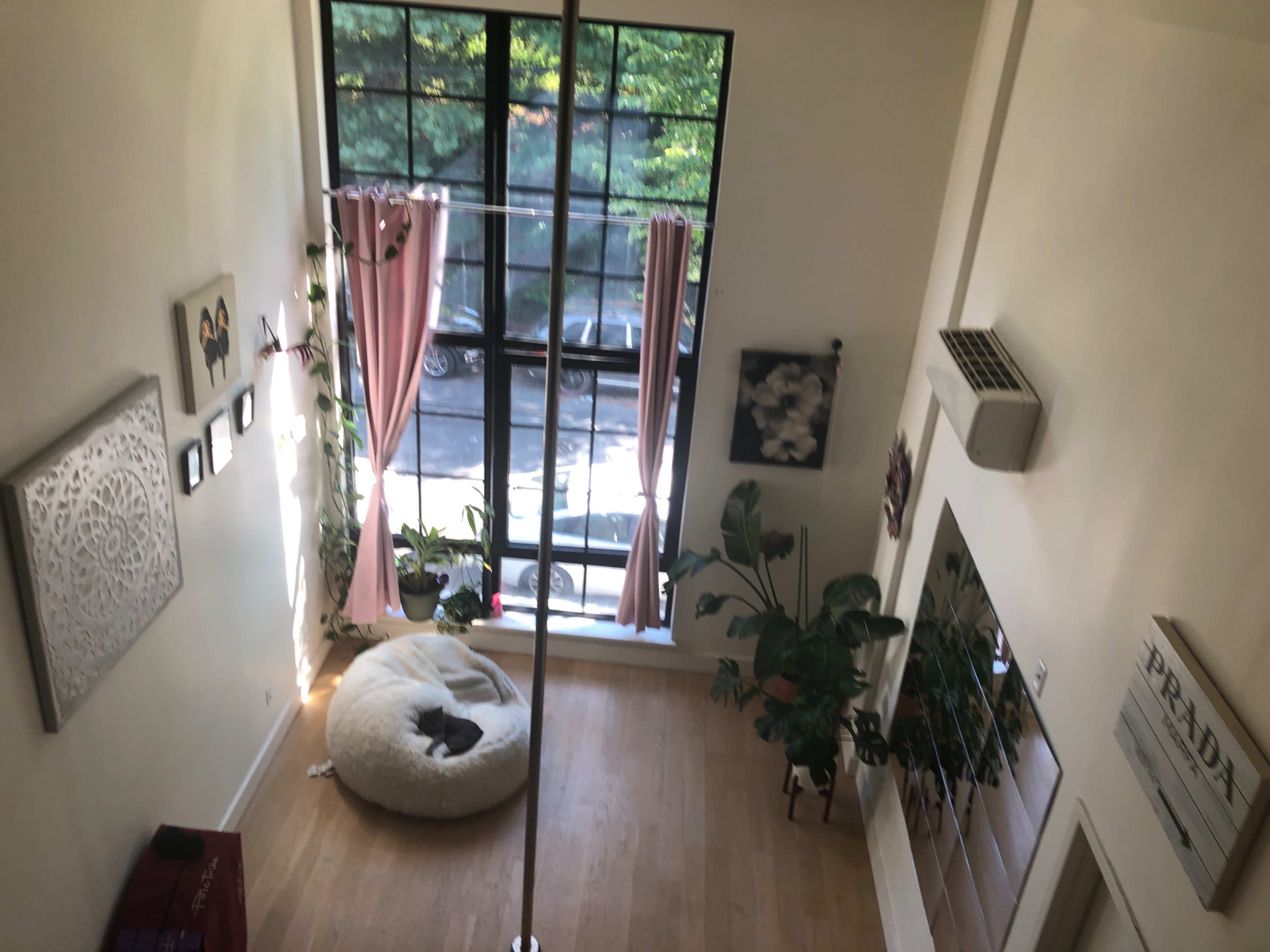 A bright interior space with large windows, a bean bag chair, potted plants, and artwork on the walls.