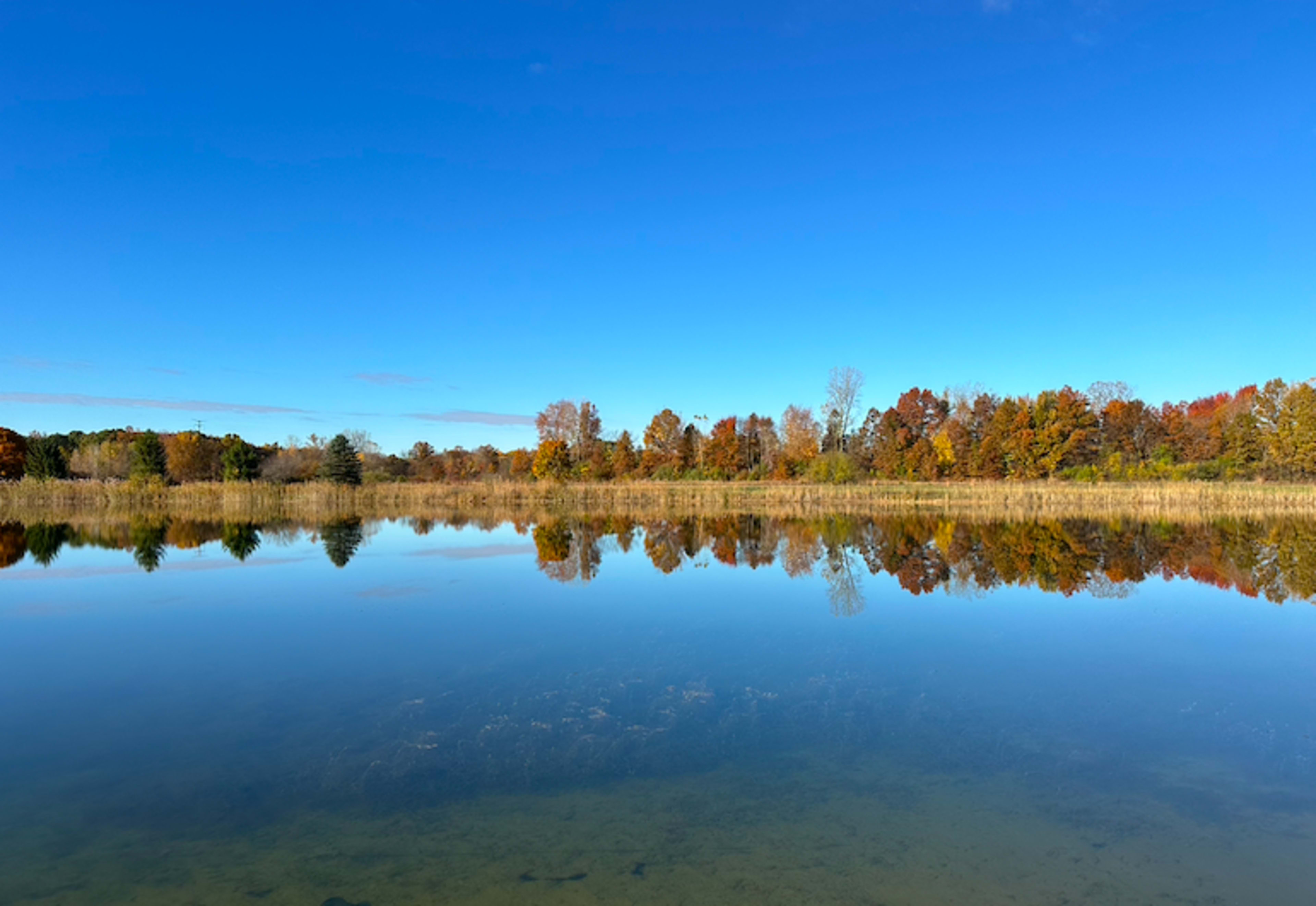 5 Acre Pond with Sunset Views Image in London Township, Milan, MI