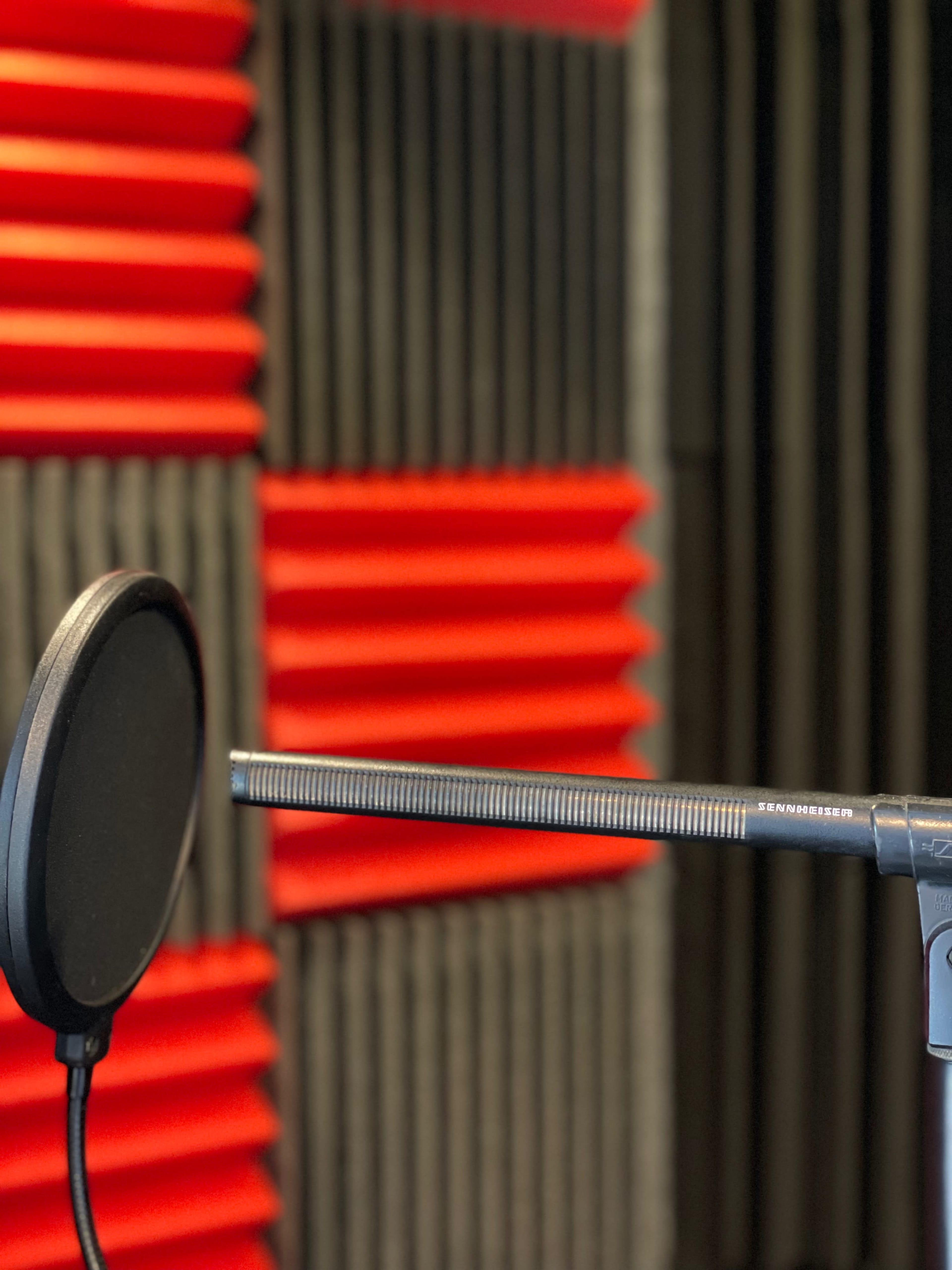 A microphone with a pop filter in front of red and black acoustic foam panels.