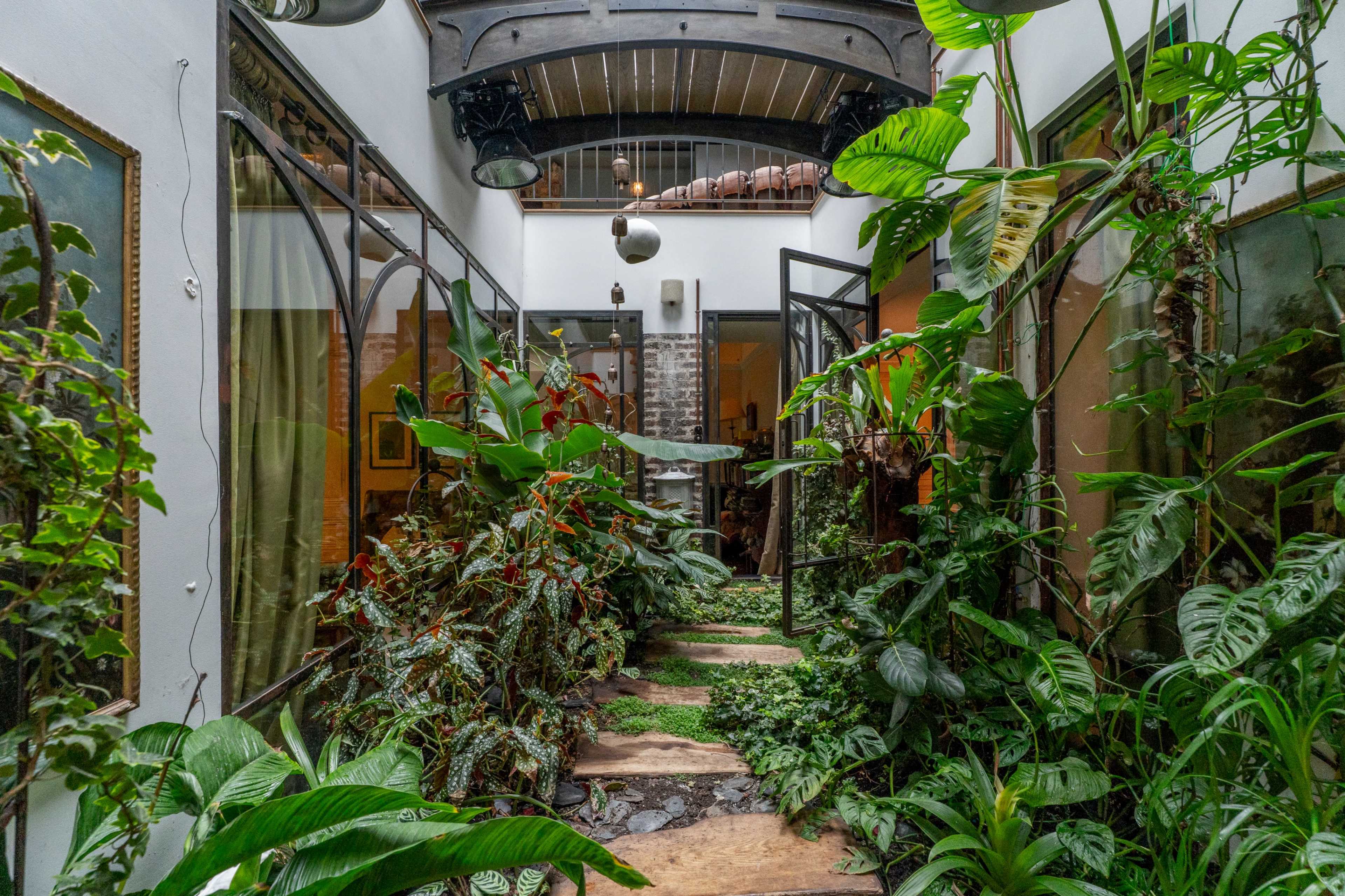 The image shows a narrow indoor pathway lined with lush greenery and plants, leading through glass doors into a well-lit space.