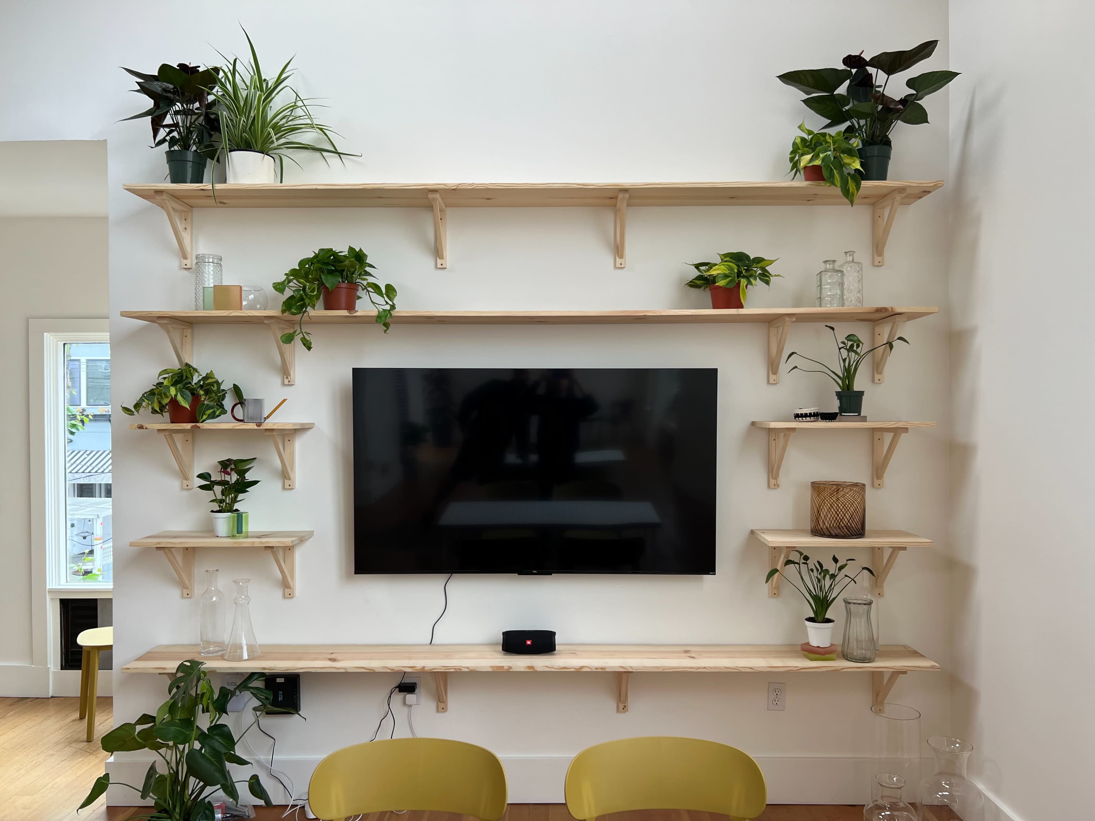 A wall-mounted shelving unit with various plants and a television at the center is displayed in a bright room.