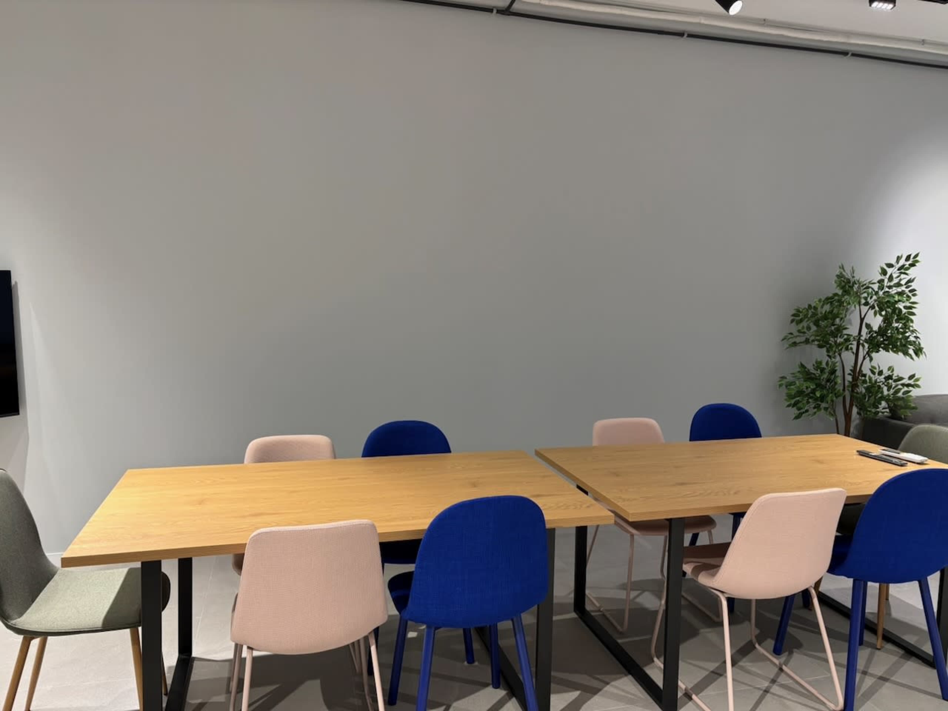 A modern conference room features two wooden tables surrounded by colorful chairs, with a green plant in the corner.