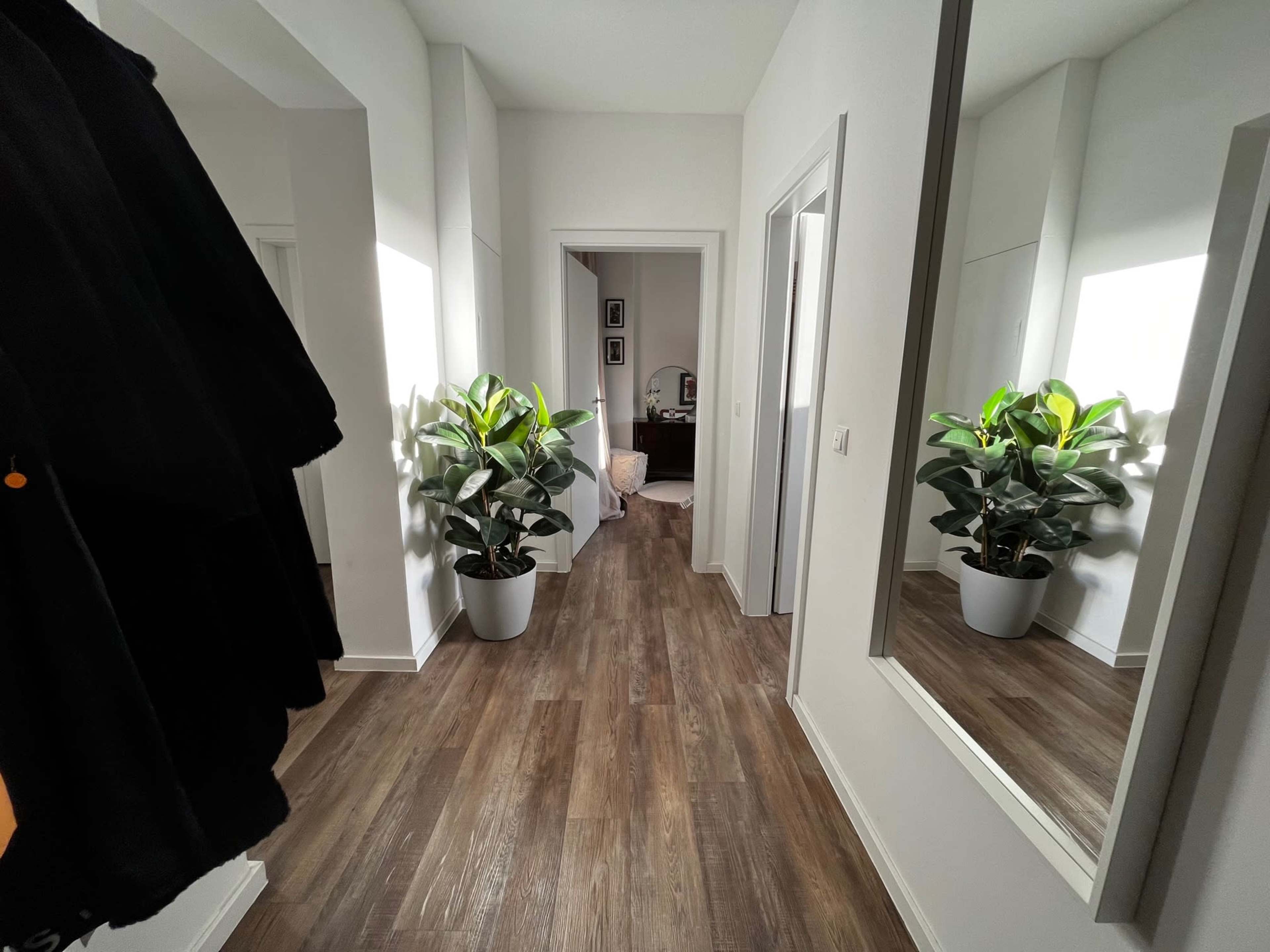 A narrow hallway is lined with a large mirror and potted plants, leading to a door at the end.