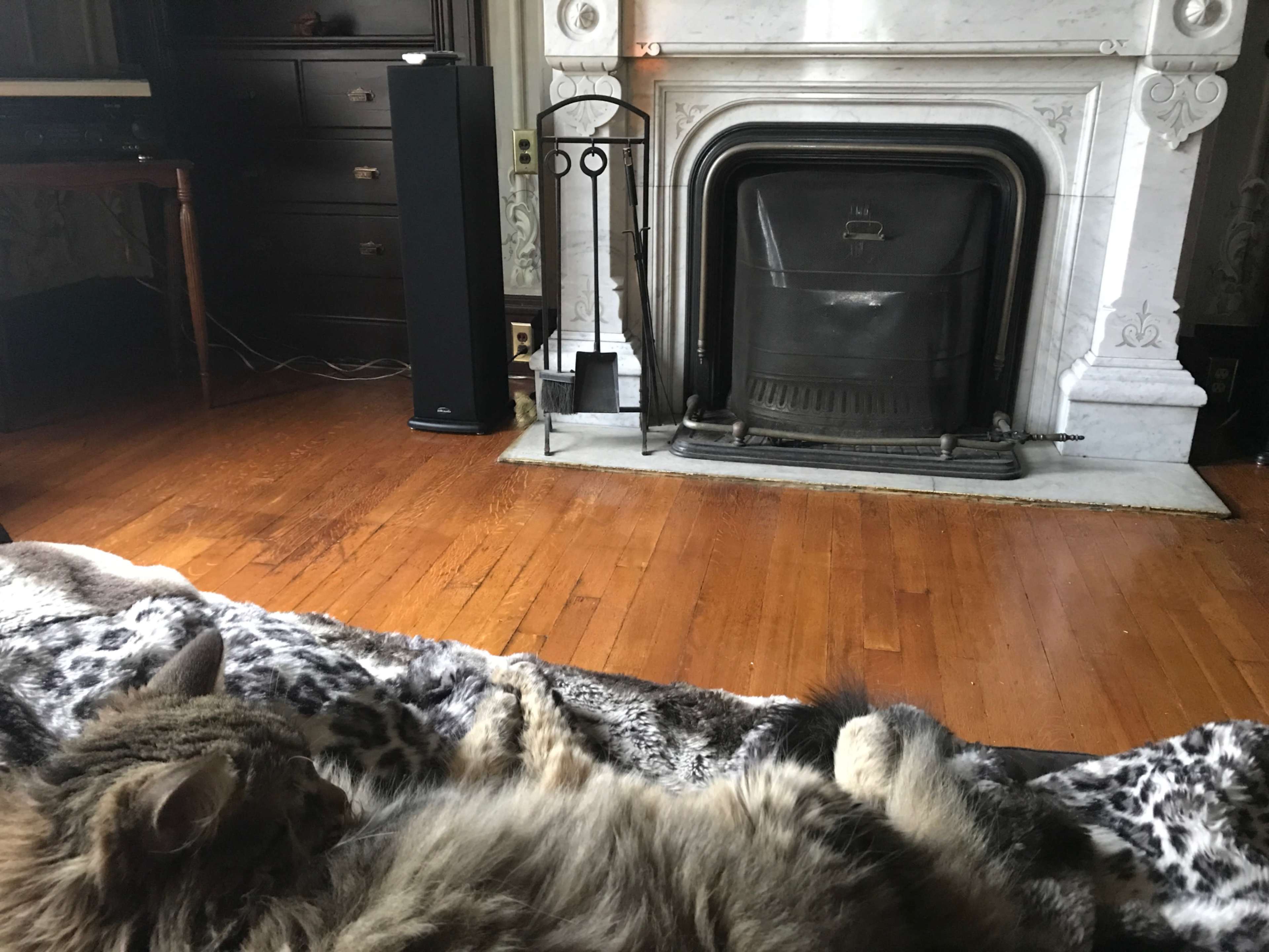A cat lies on a patterned blanket in a living room with a fireplace and wooden floors.