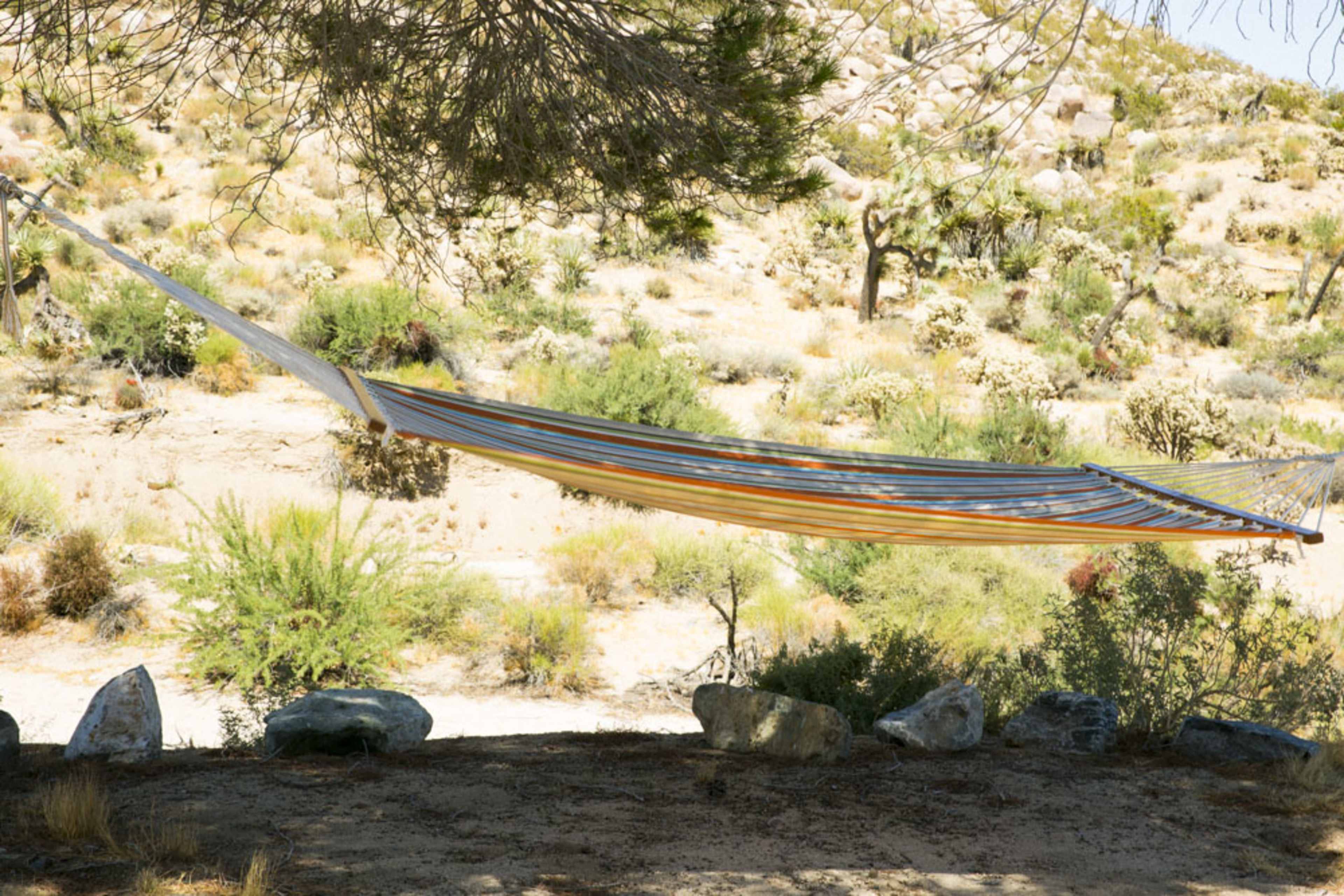 A colorful hammock is suspended between two trees in a desert landscape filled with shrubs and rocks.