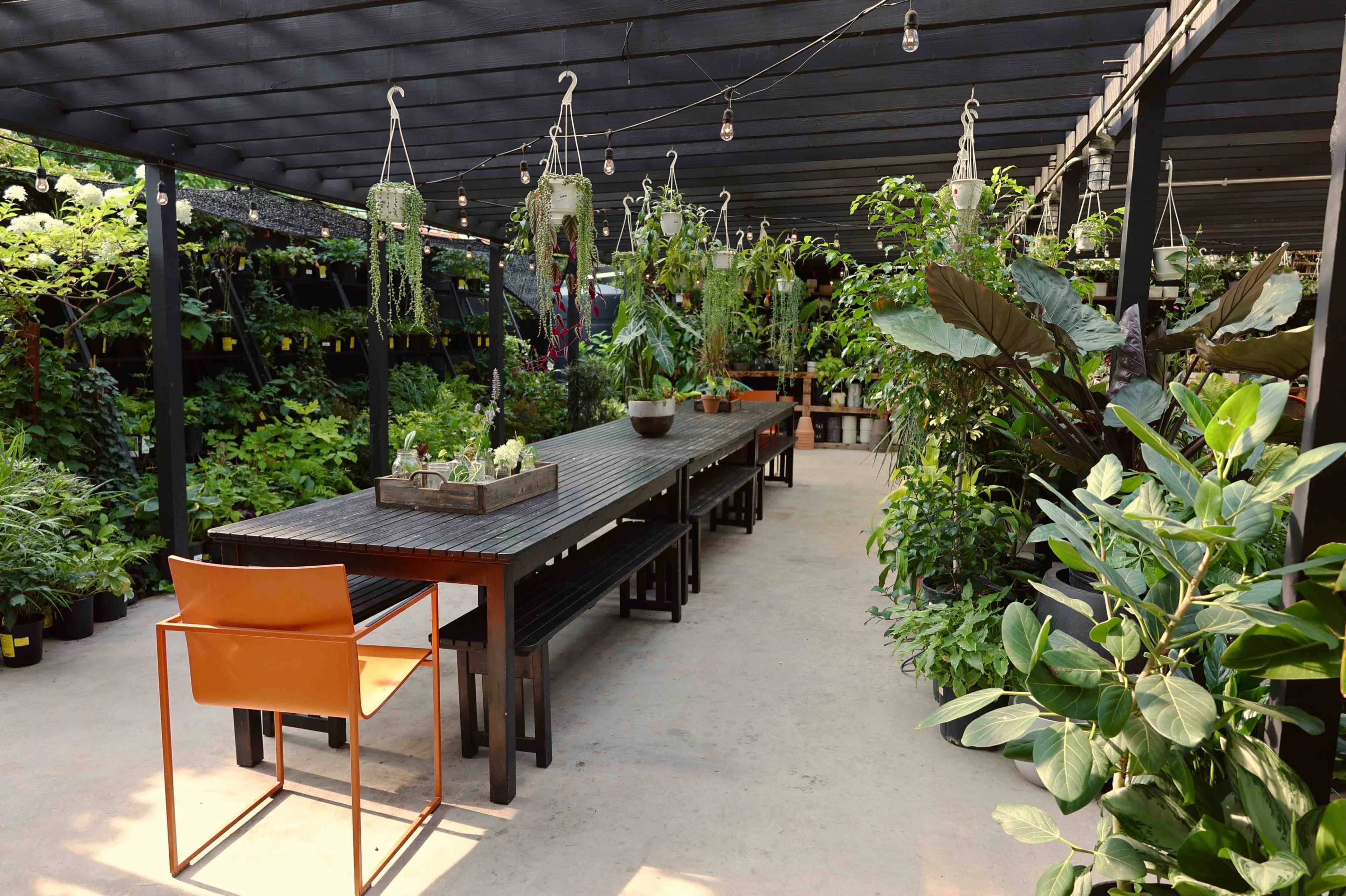 A spacious outdoor area is filled with various plants, featuring long wooden tables and hanging planters under a slatted roof.