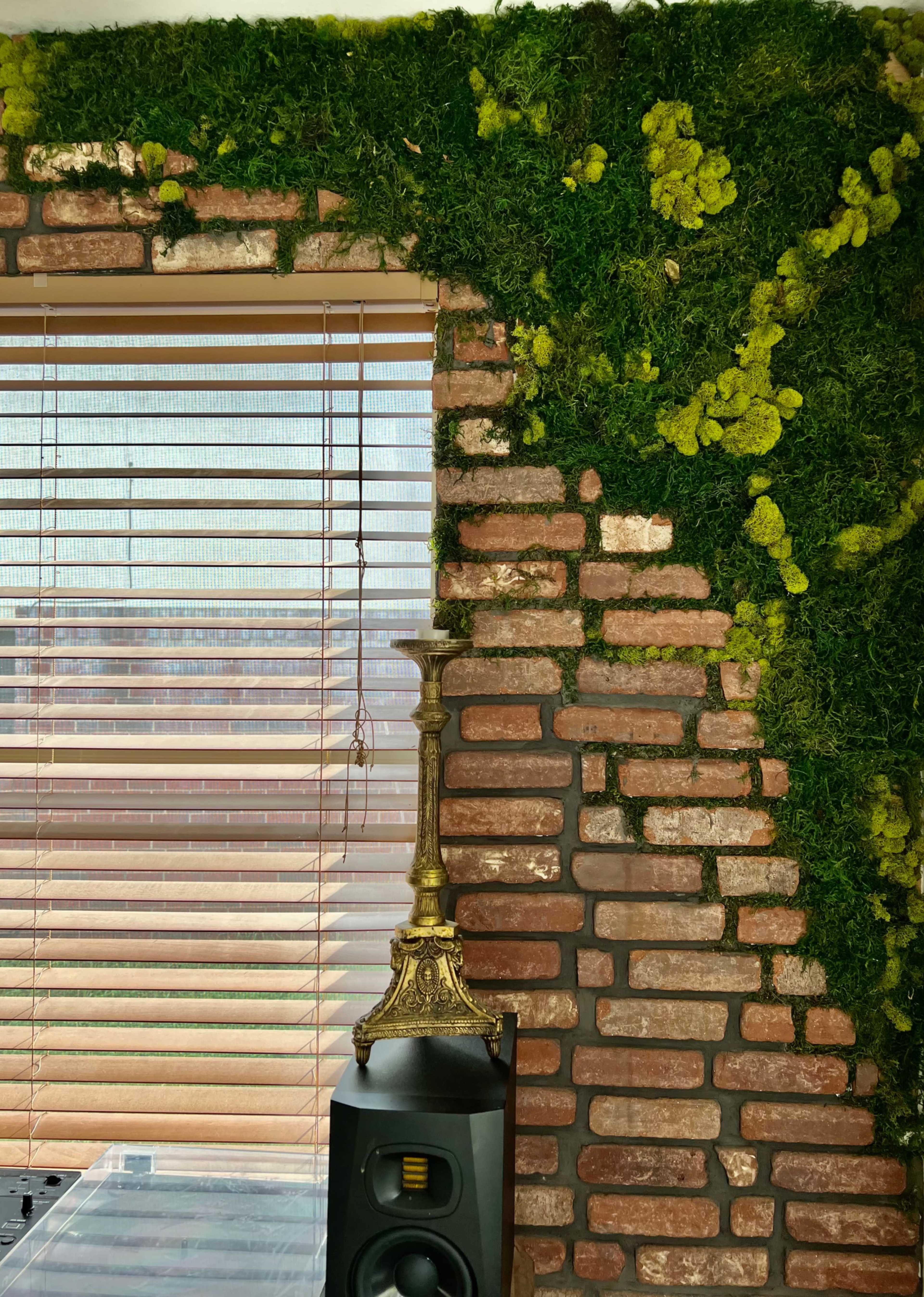 A textured wall featuring a mix of brick and moss, with a candlestick placed on top of a speaker near a window with blinds.