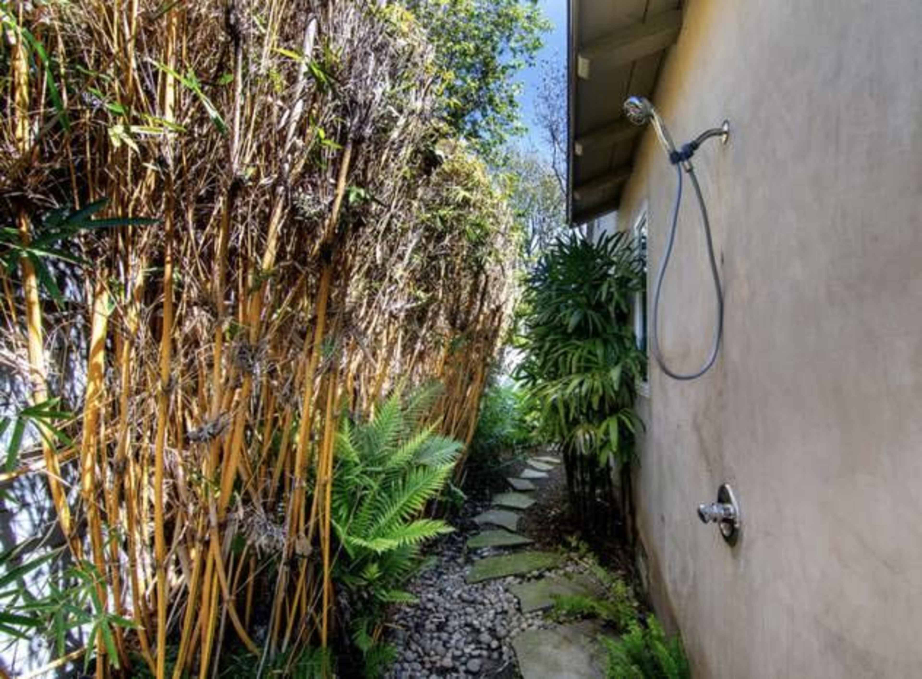 An outdoor shower area surrounded by tall plants and a stone pathway leading to a wall.
