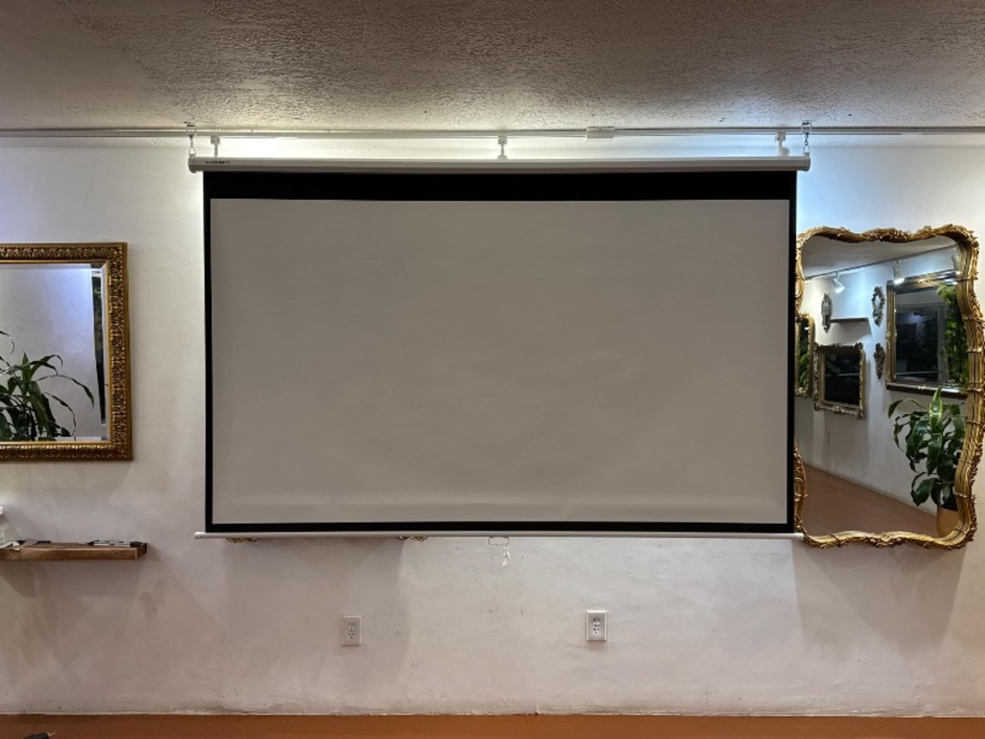 Projector Screen (8 foot)
