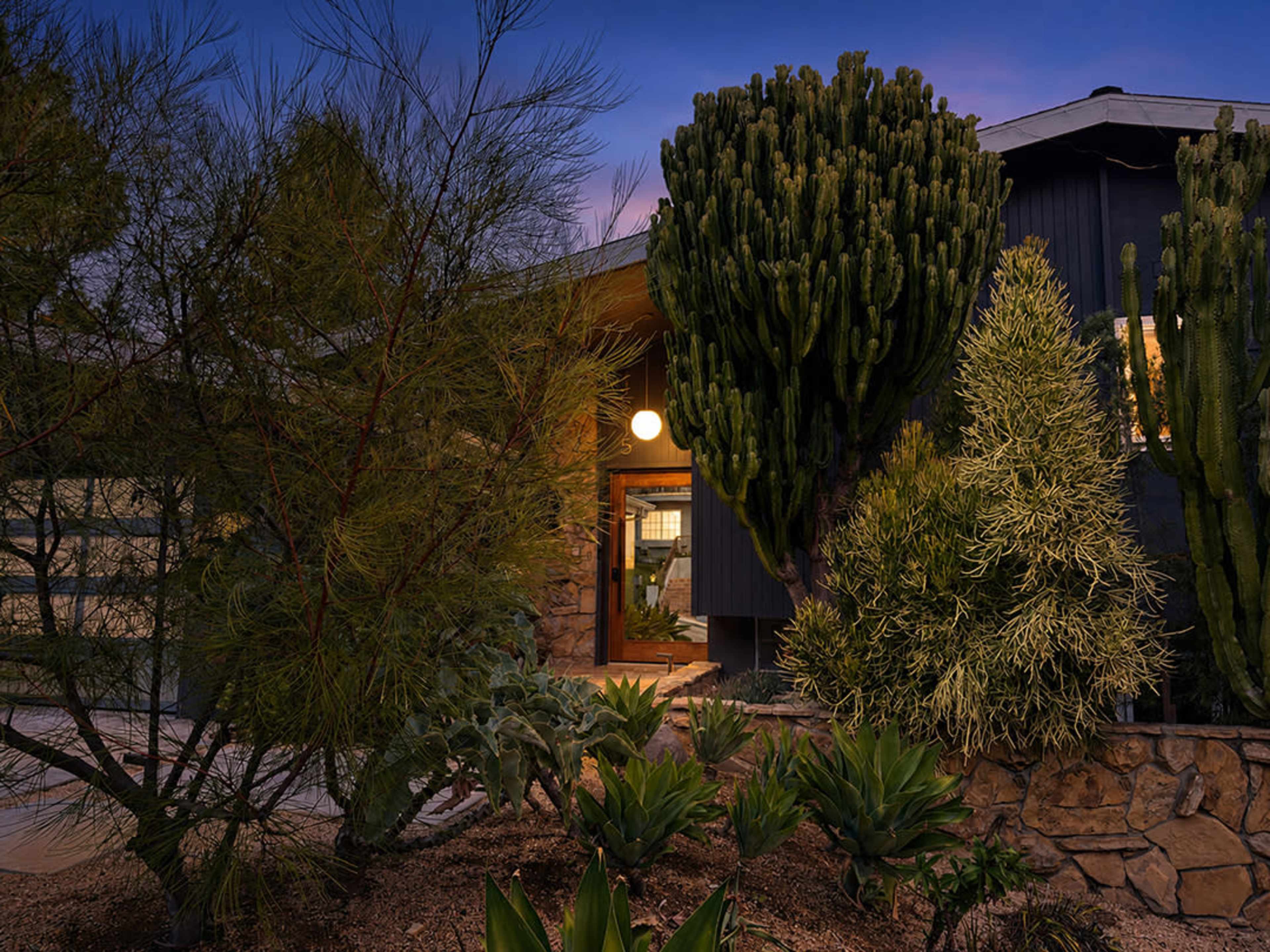The image shows a modern home surrounded by various desert plants, including tall cacti and shrubs, under a twilight sky.