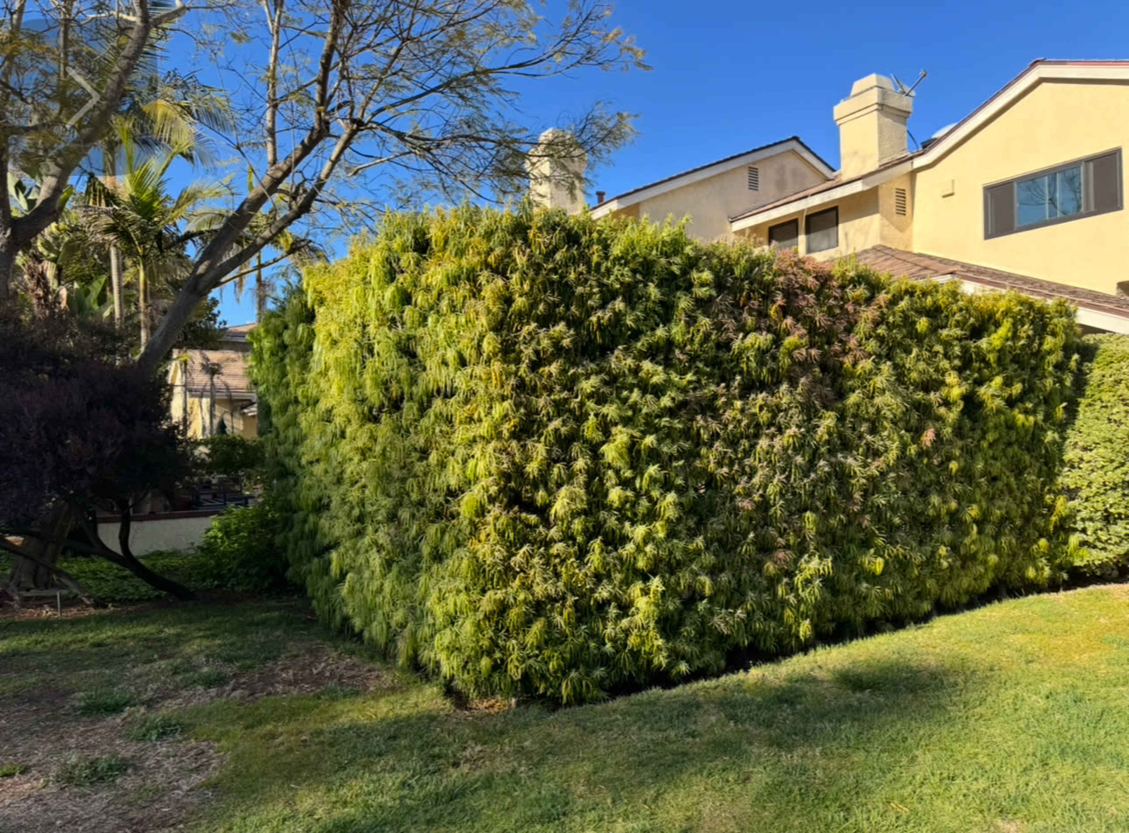 Large, gated, private, golf, grass and space Image in Manhattan Beach, Manhattan Beach, CA