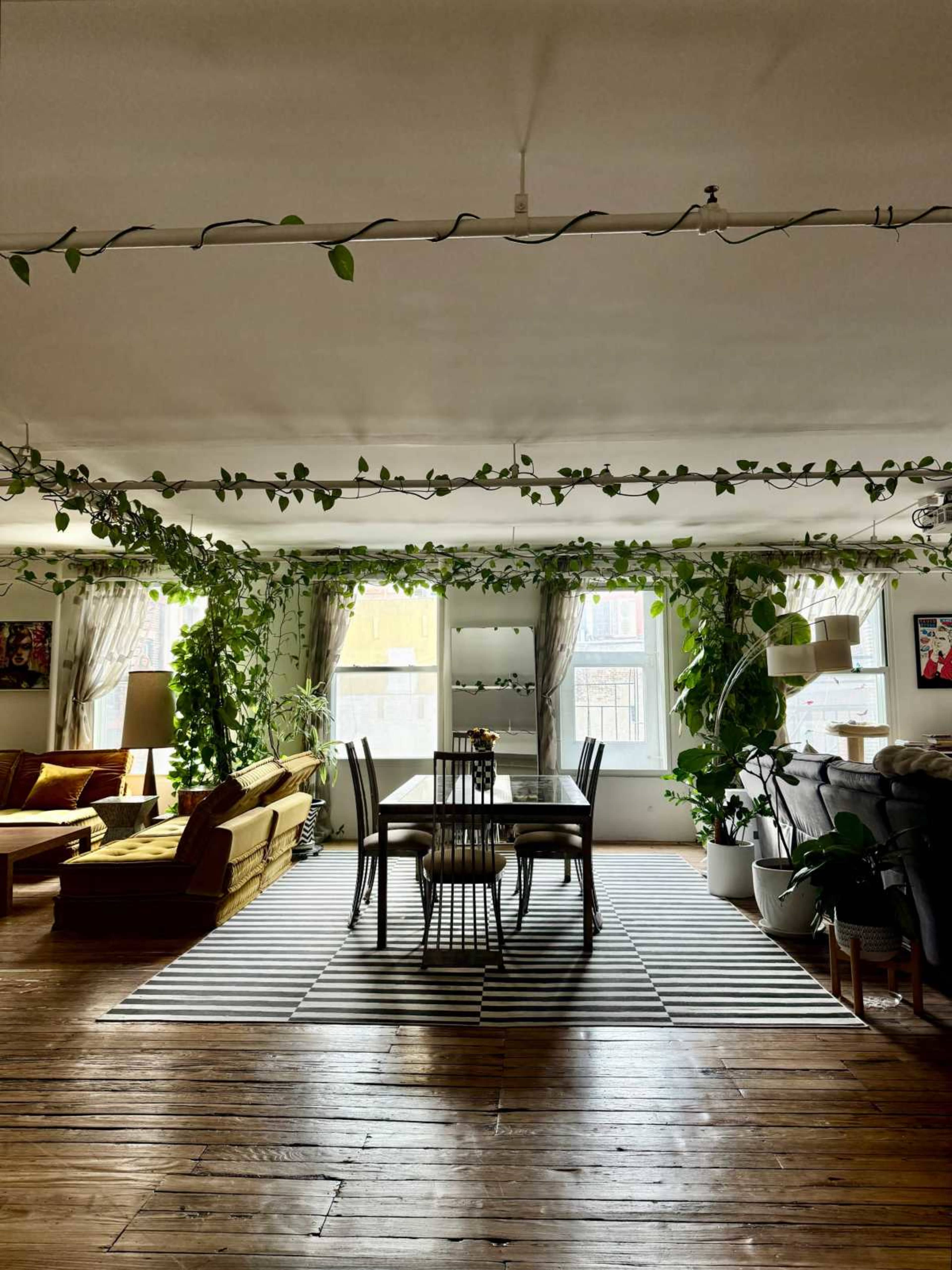 The image shows a spacious living area with wooden floors, a dining table surrounded by chairs, and various plants adorning the walls and ceiling.